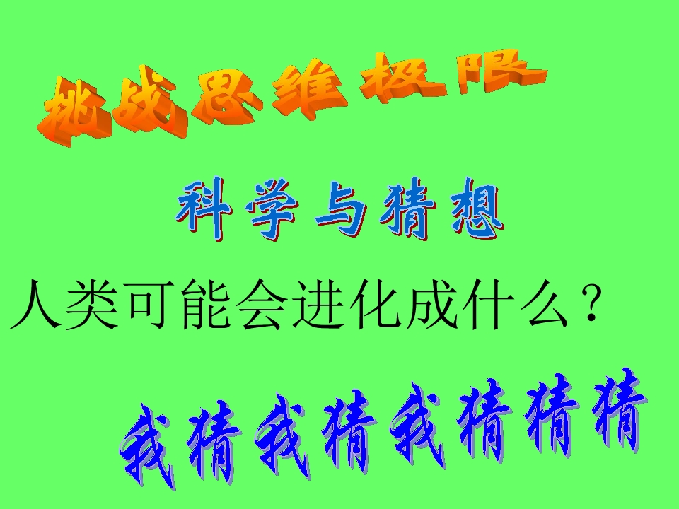 41.jpg