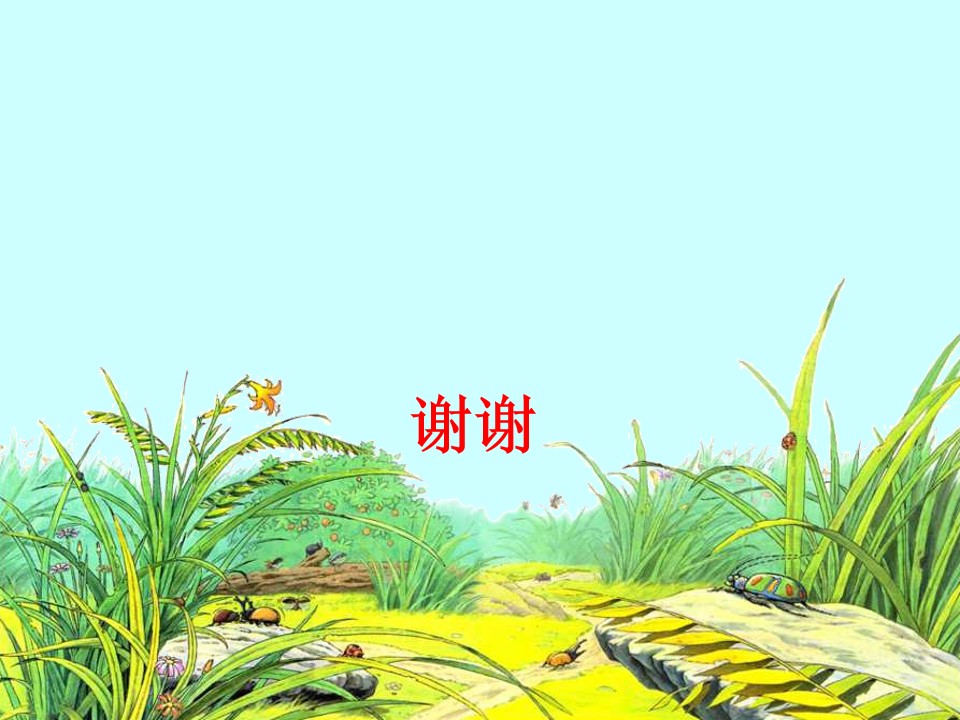 18.jpg