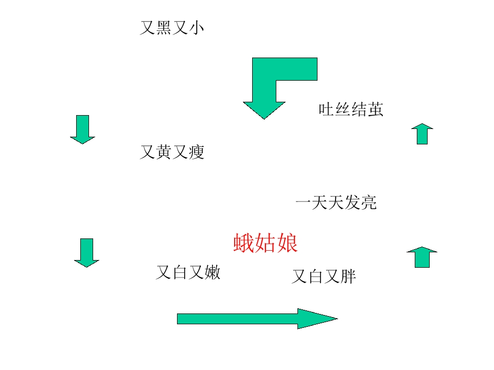 17.jpg