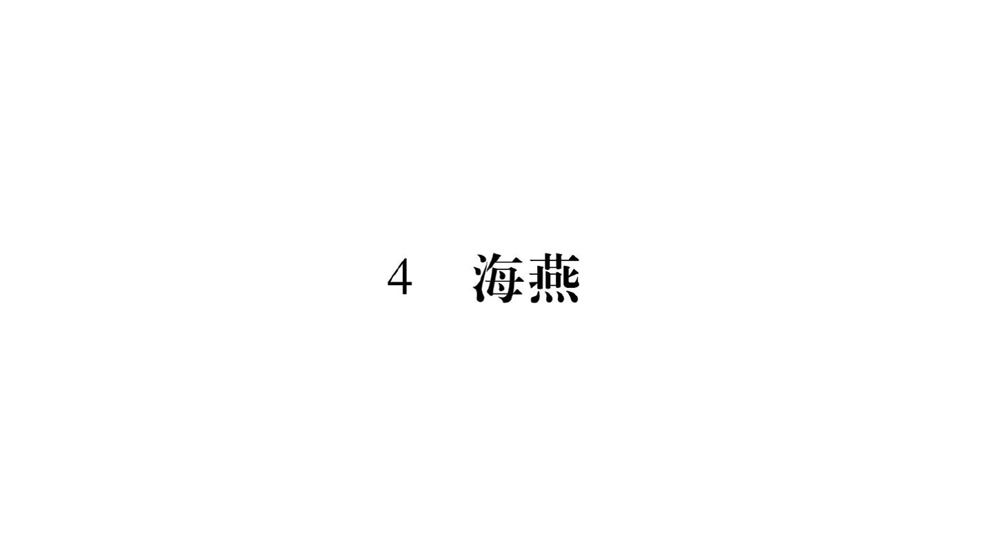 94.jpg