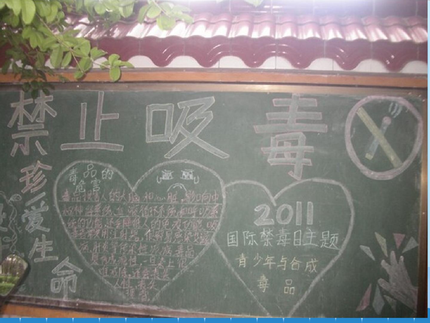 17.jpg