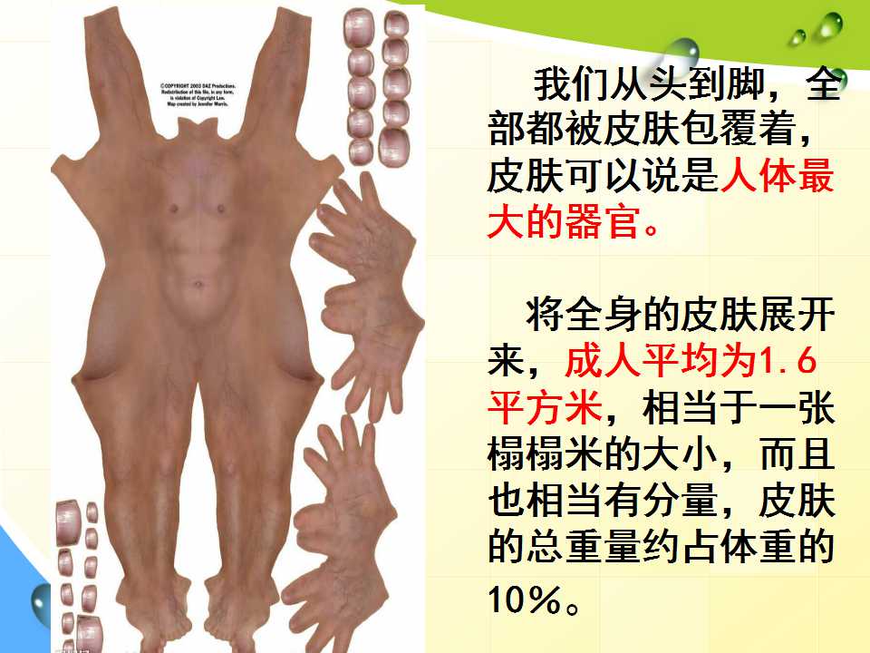37.jpg