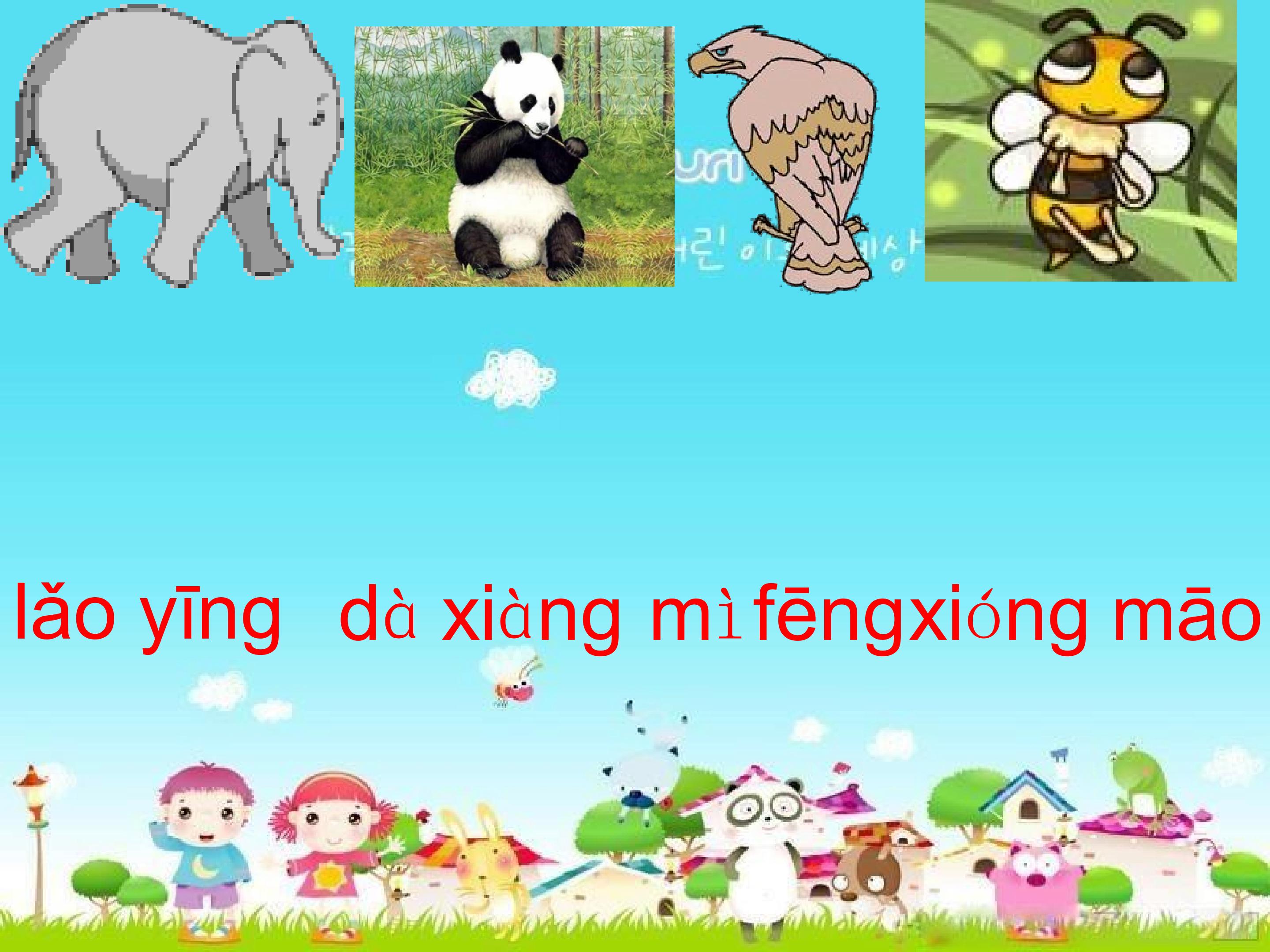 50.jpg