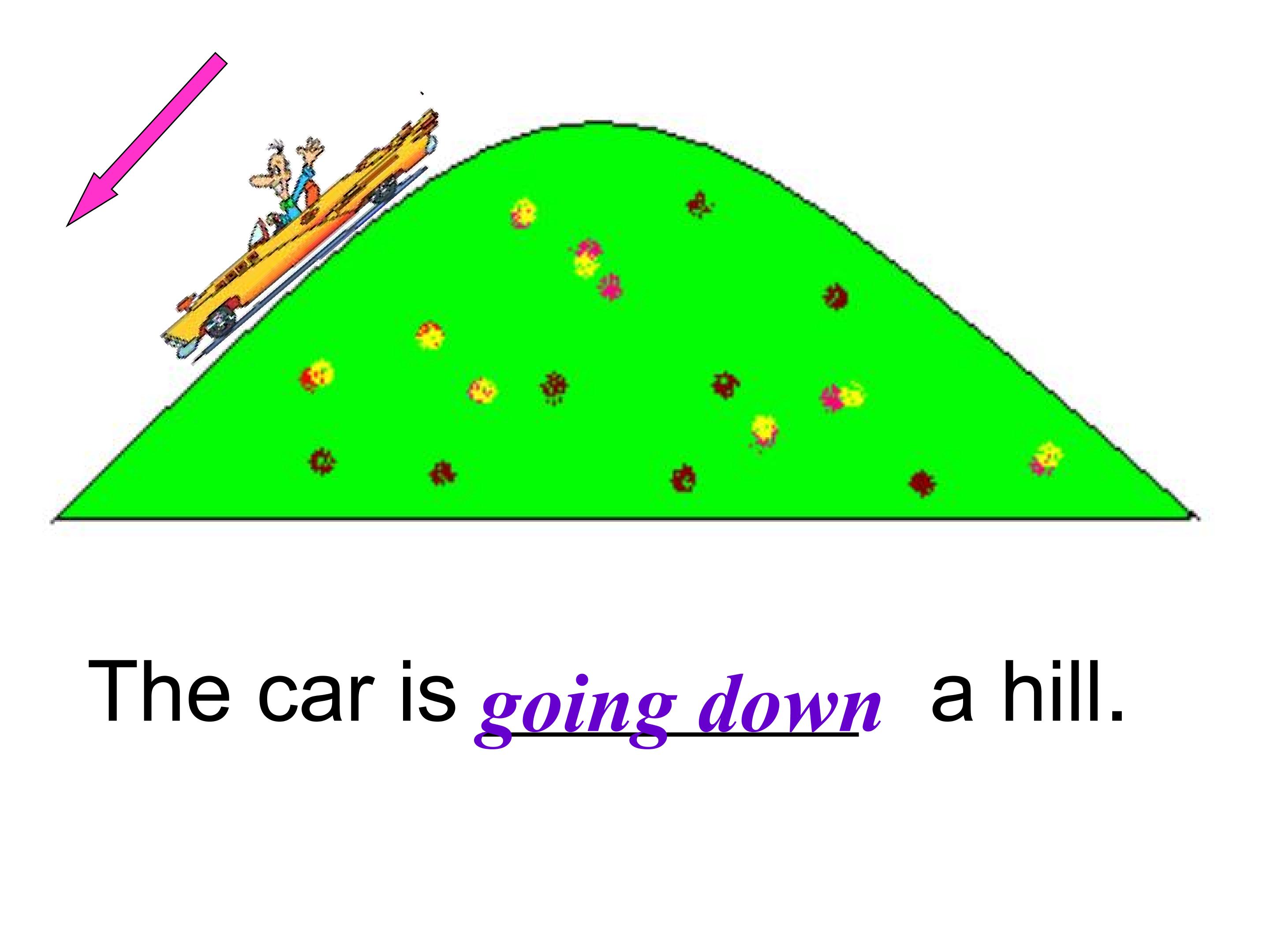 14.jpg