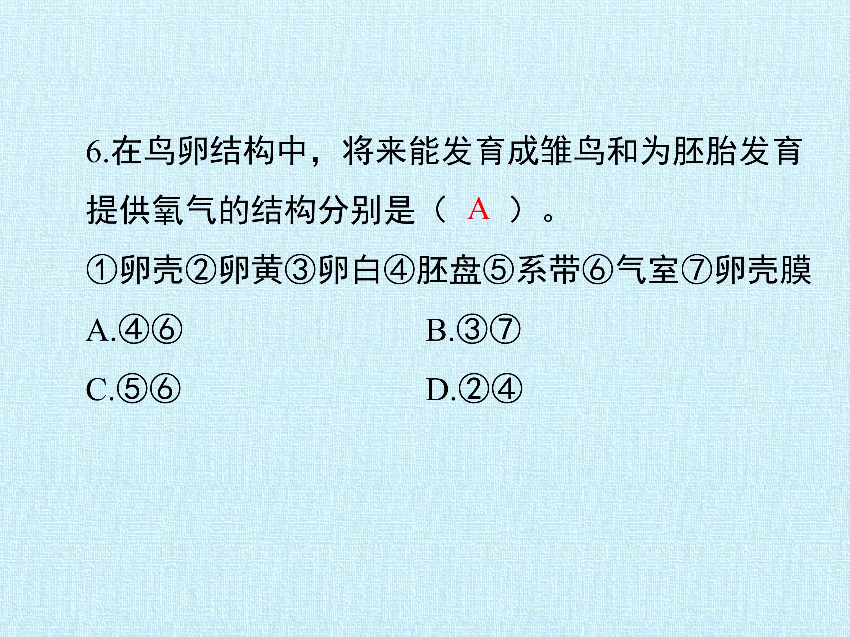 43.jpg