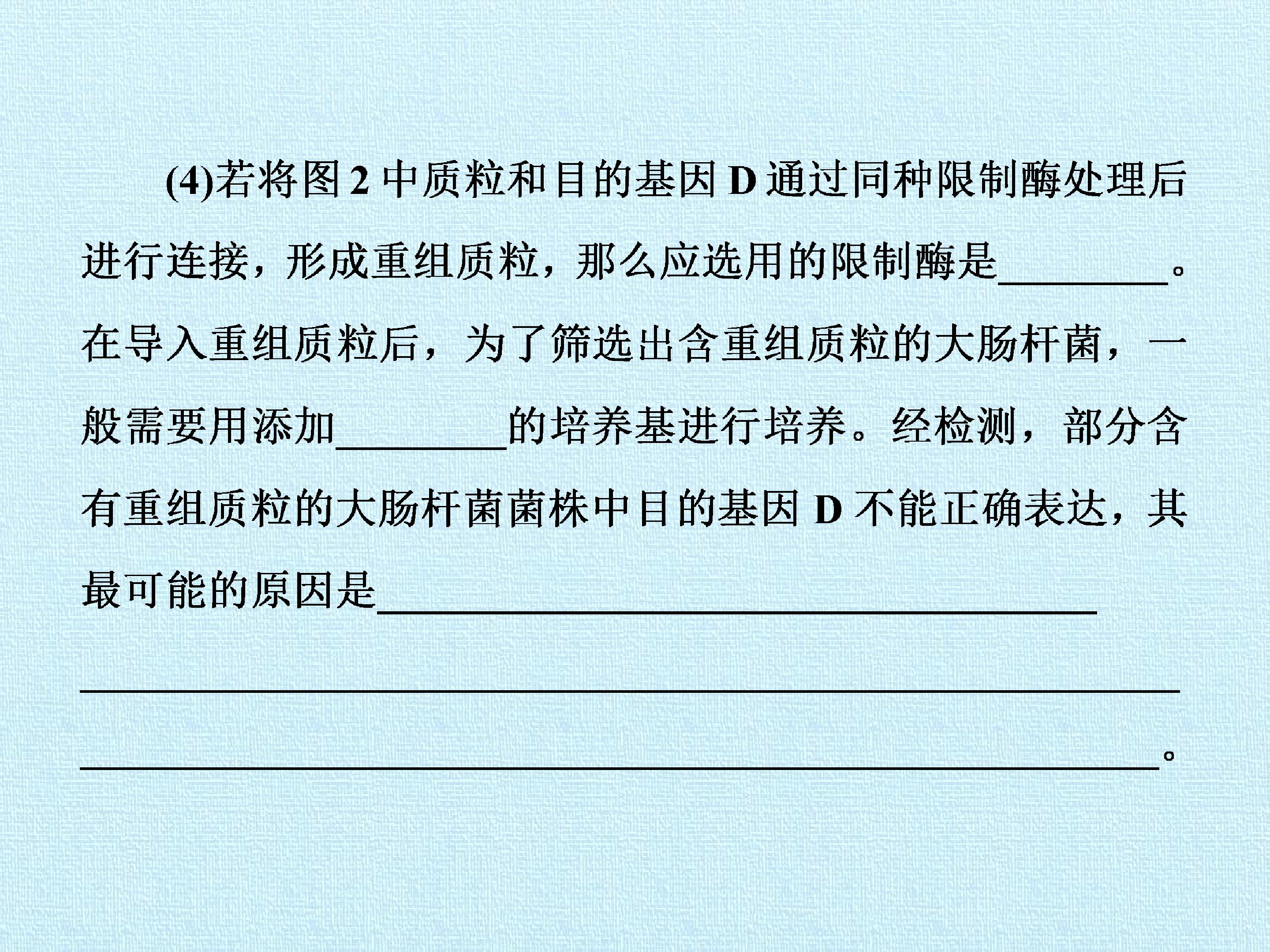 38.jpg