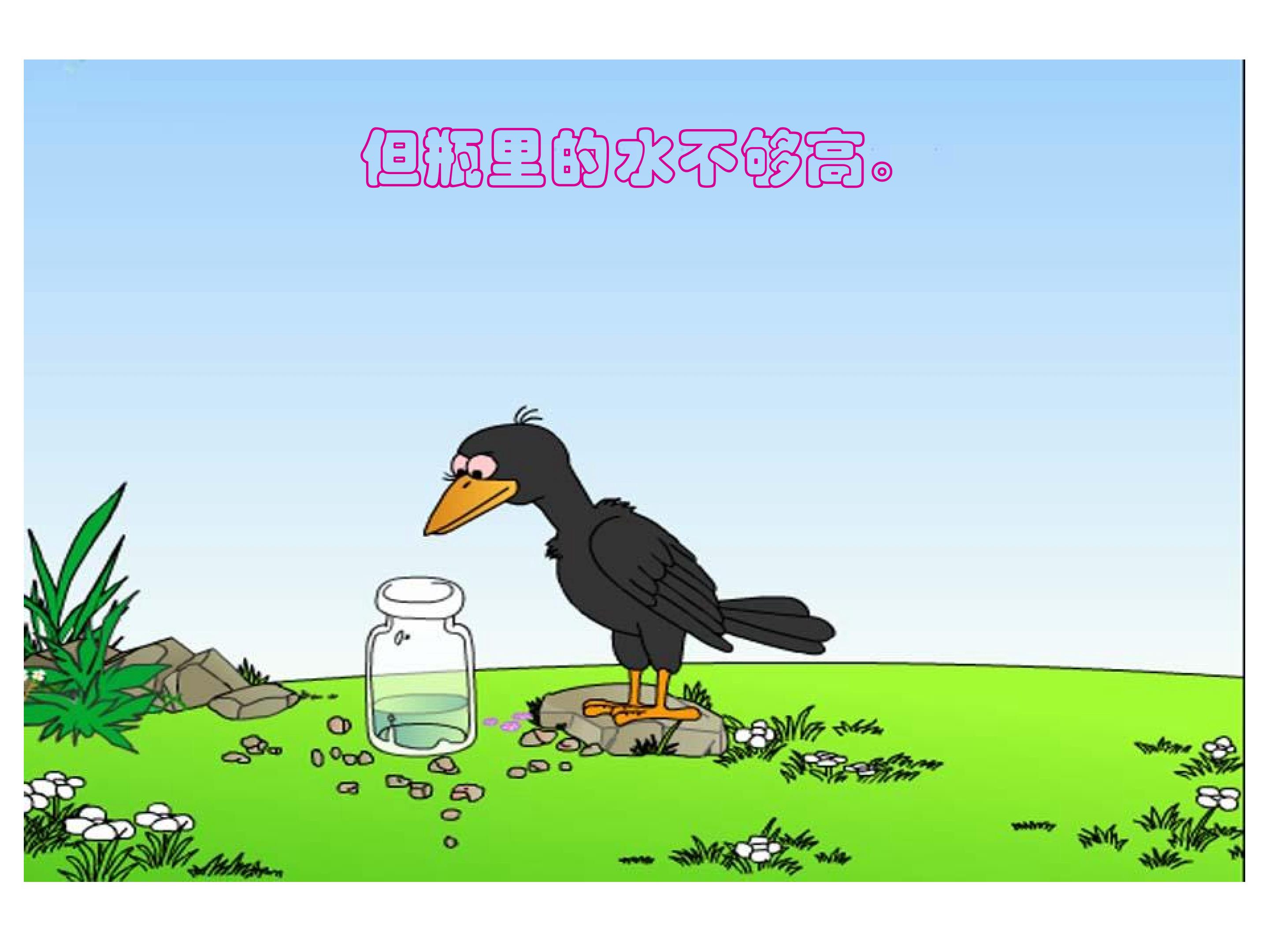 3.jpg