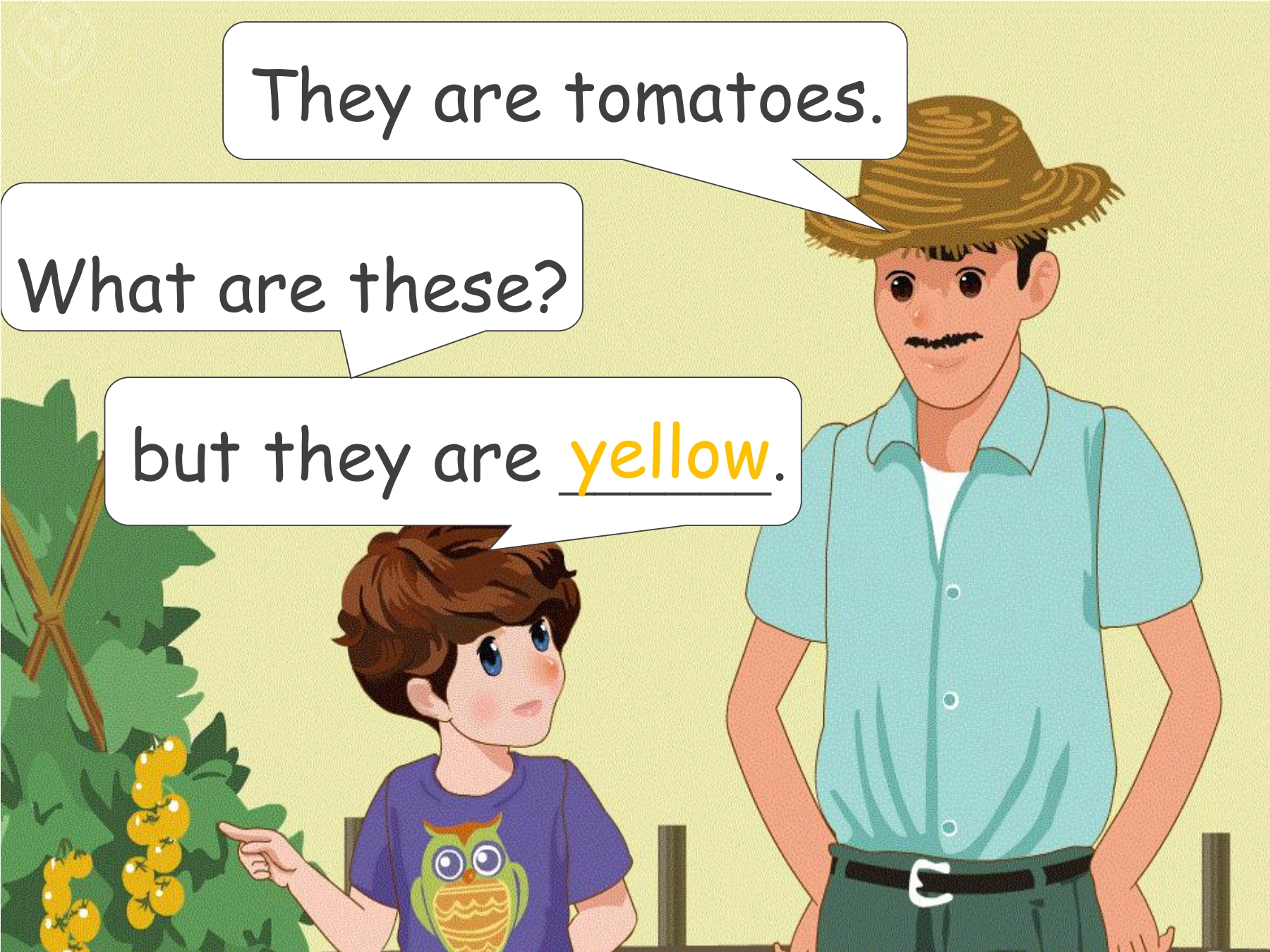 16.jpg