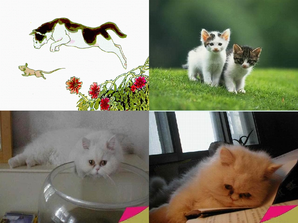 21.jpg