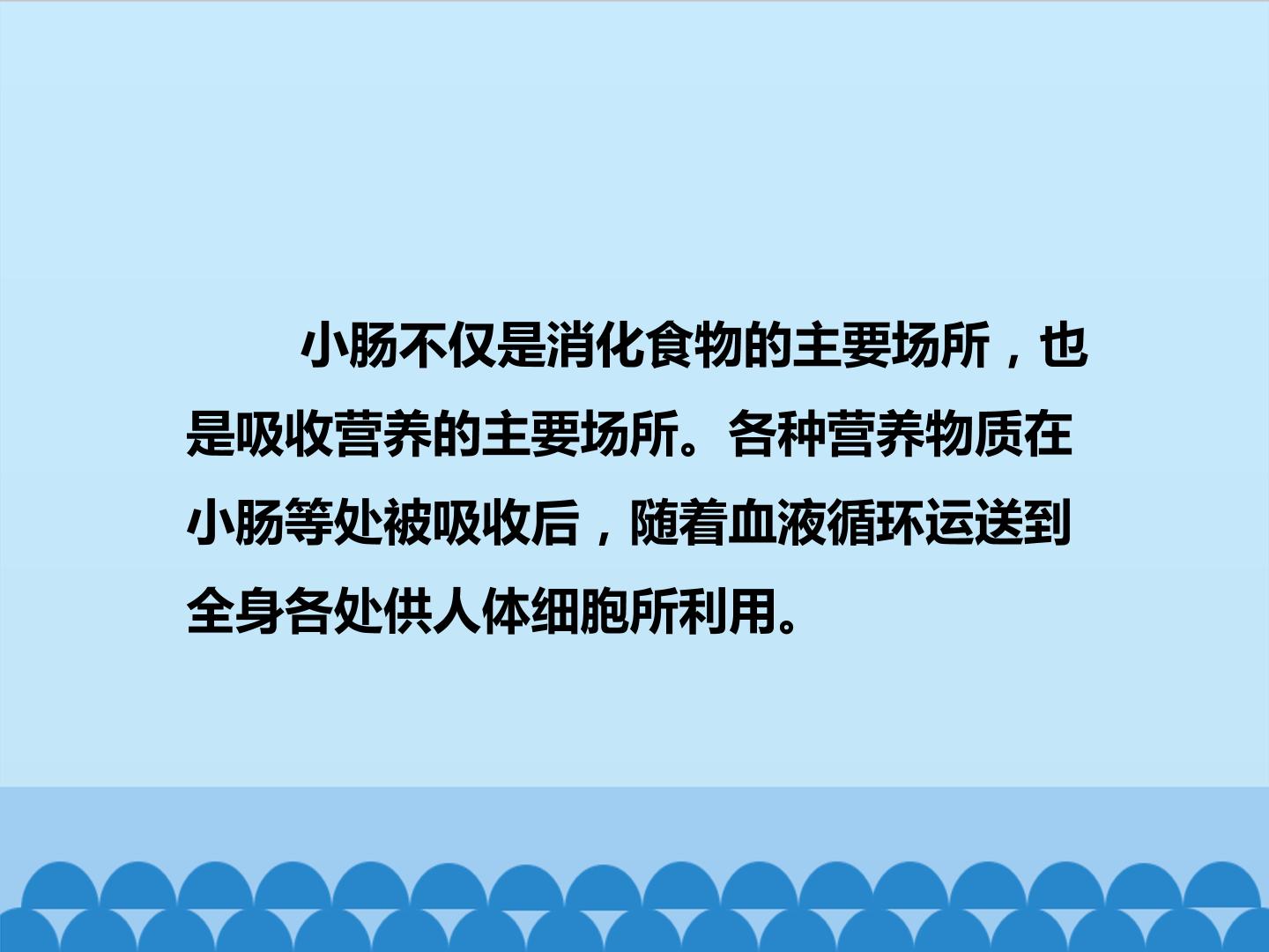 20.jpg