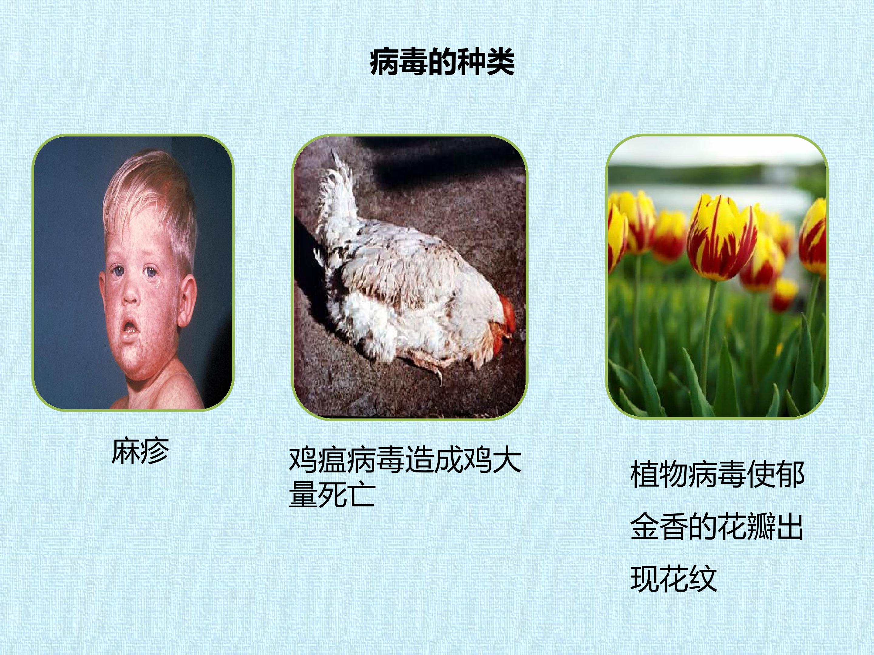 35.jpg