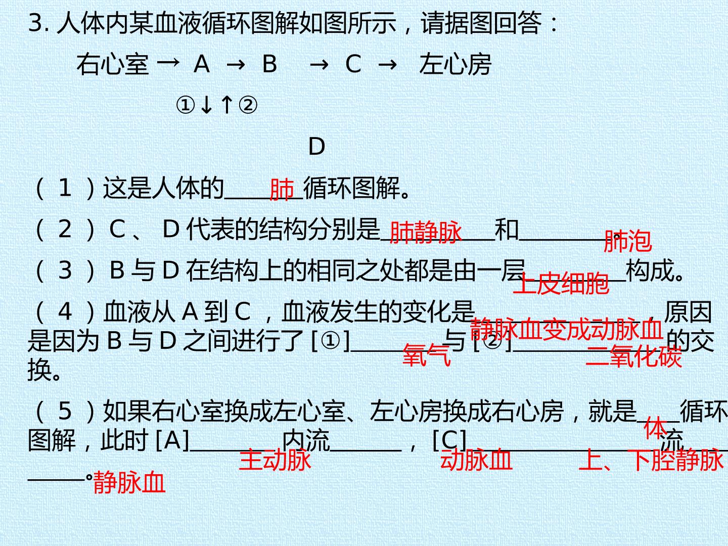 60.jpg