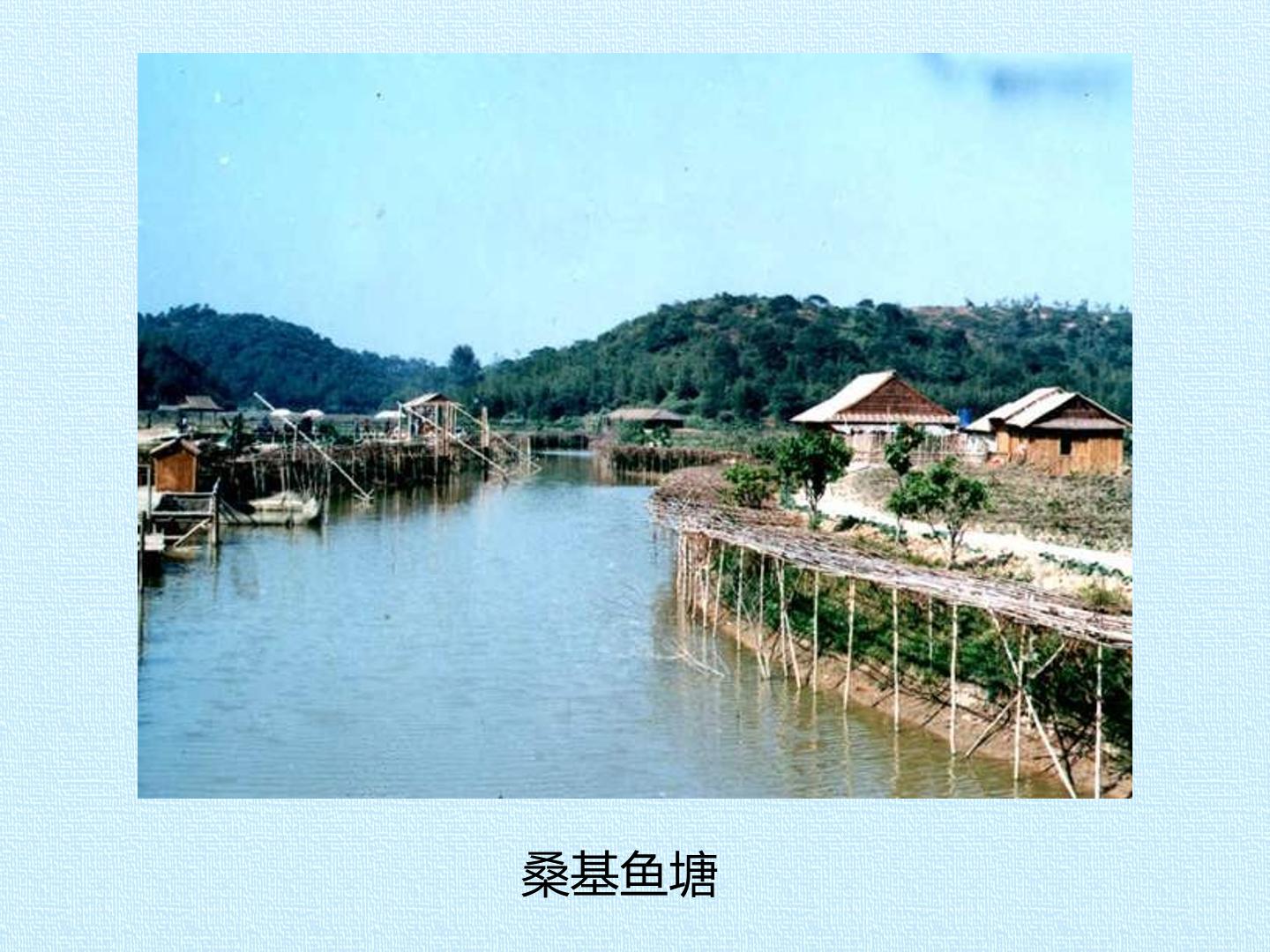 58.jpg