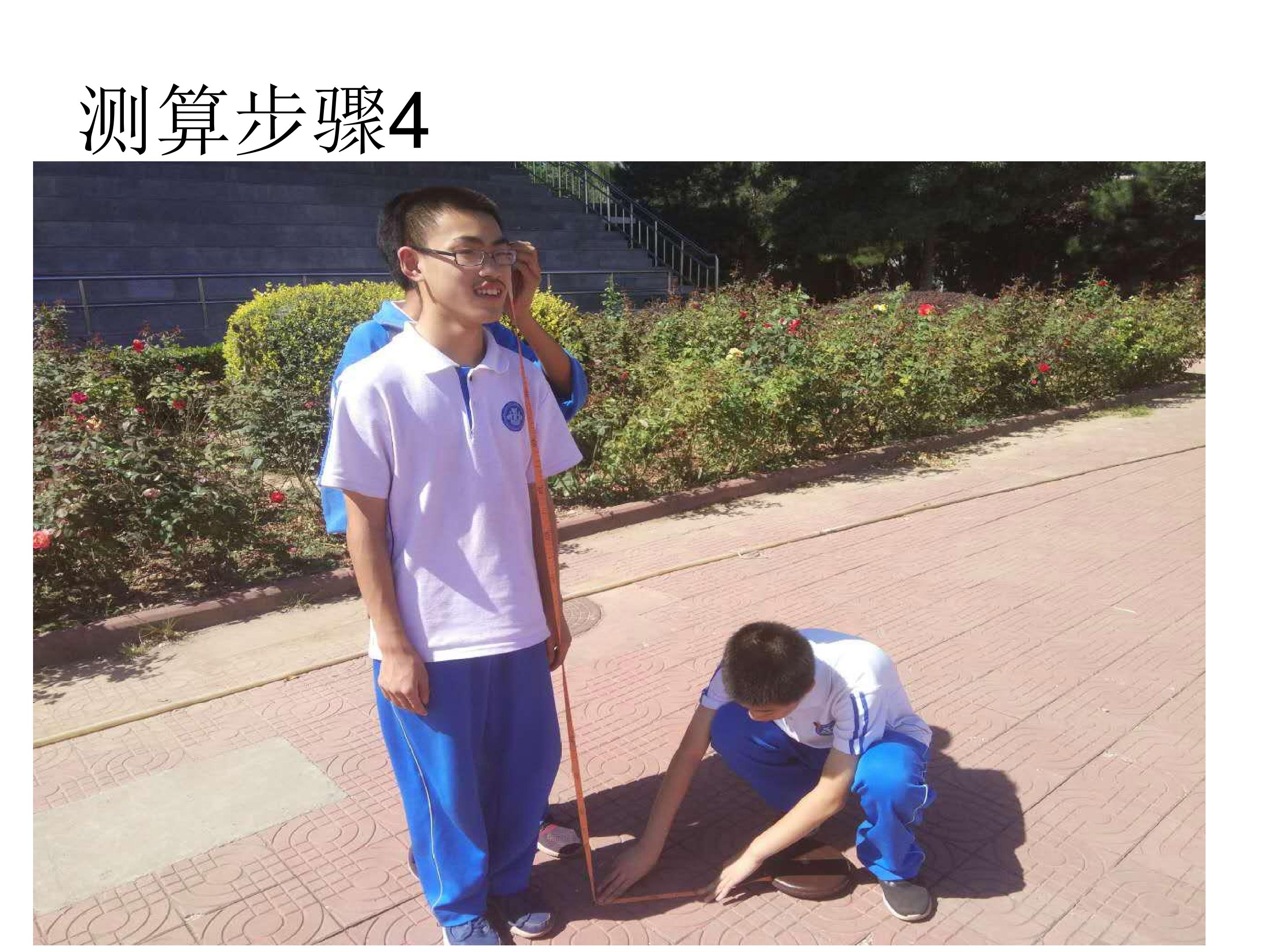17.jpg