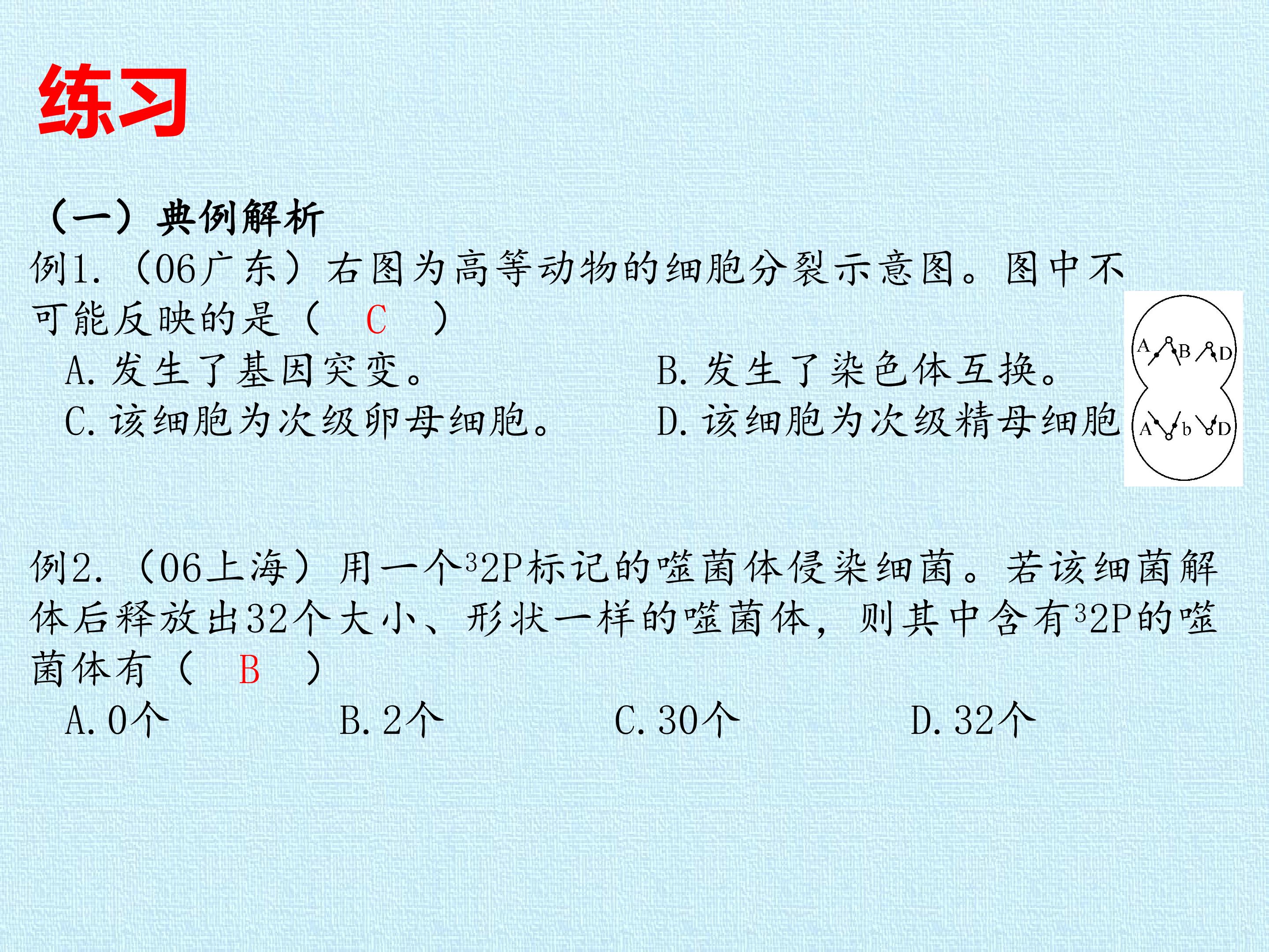 57.jpg