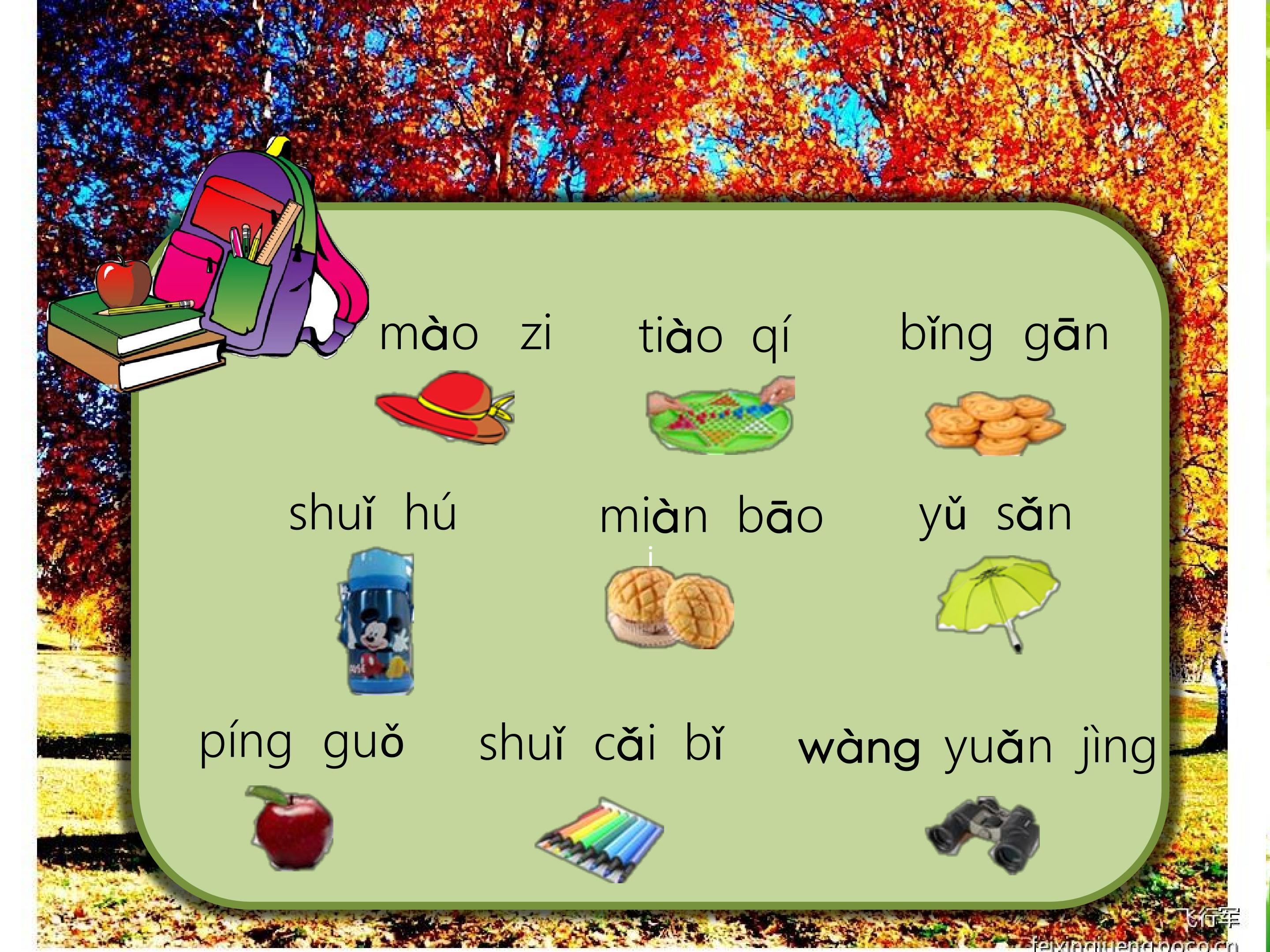 15.jpg