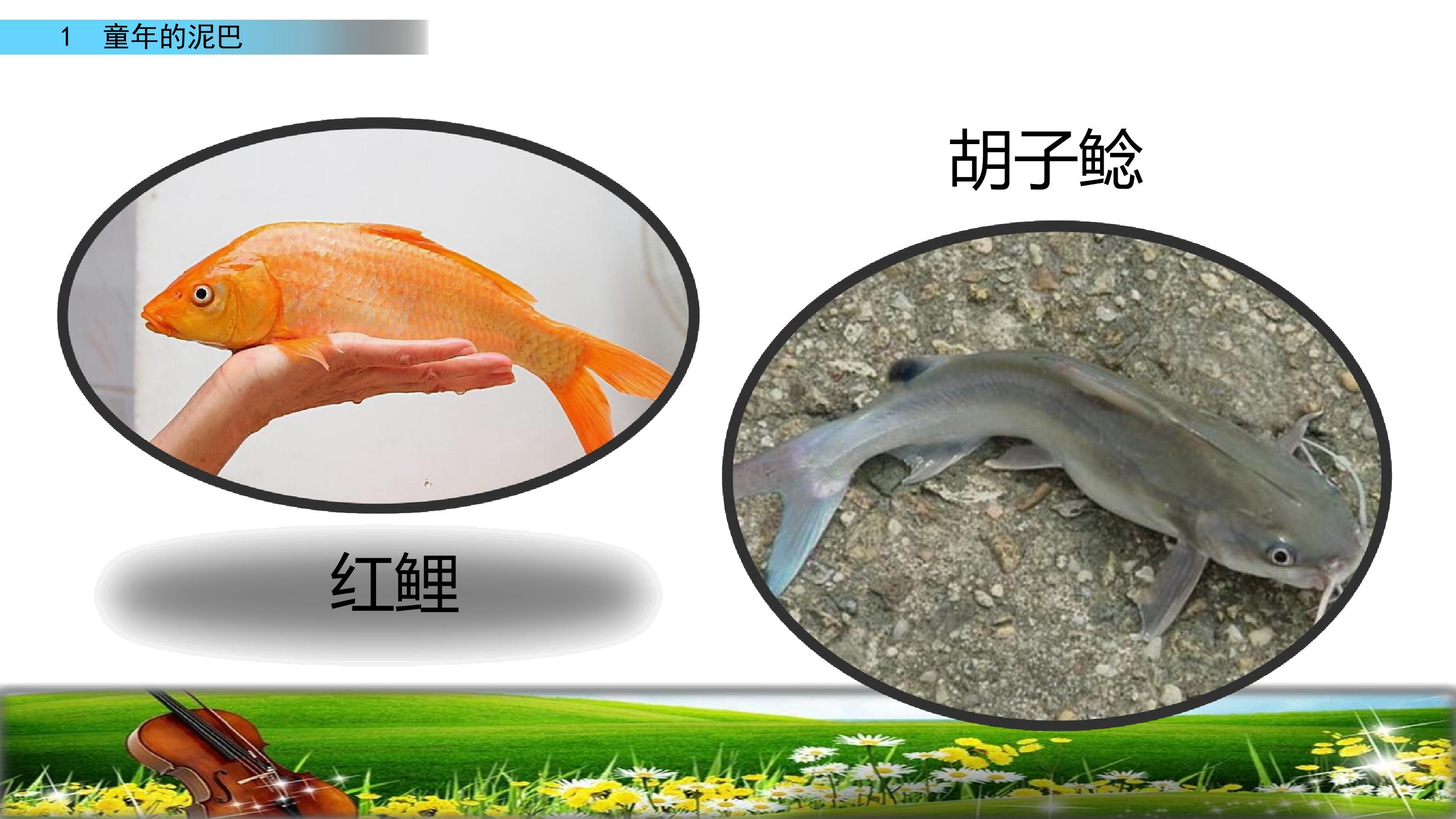 46.jpg