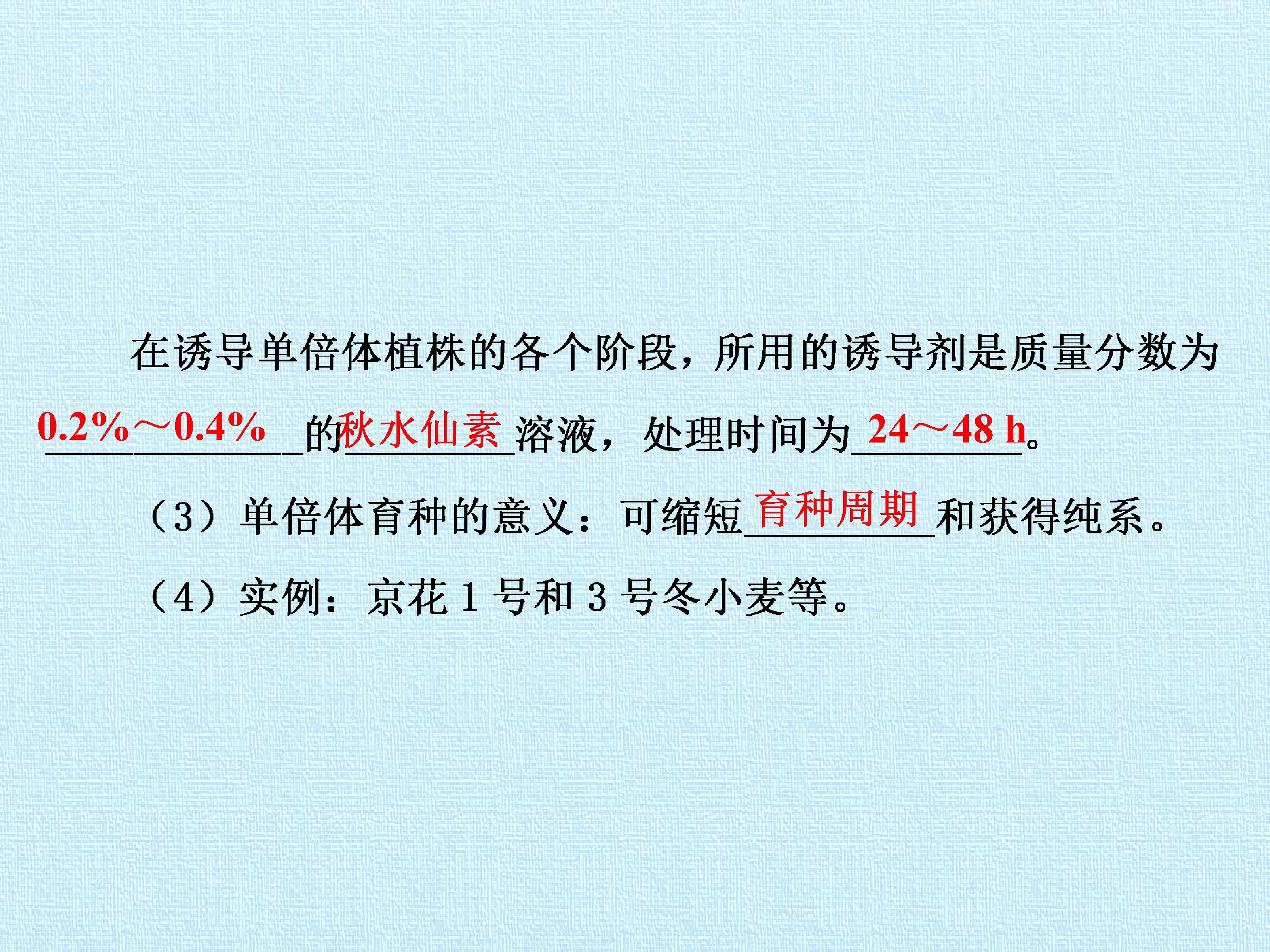 62.jpg