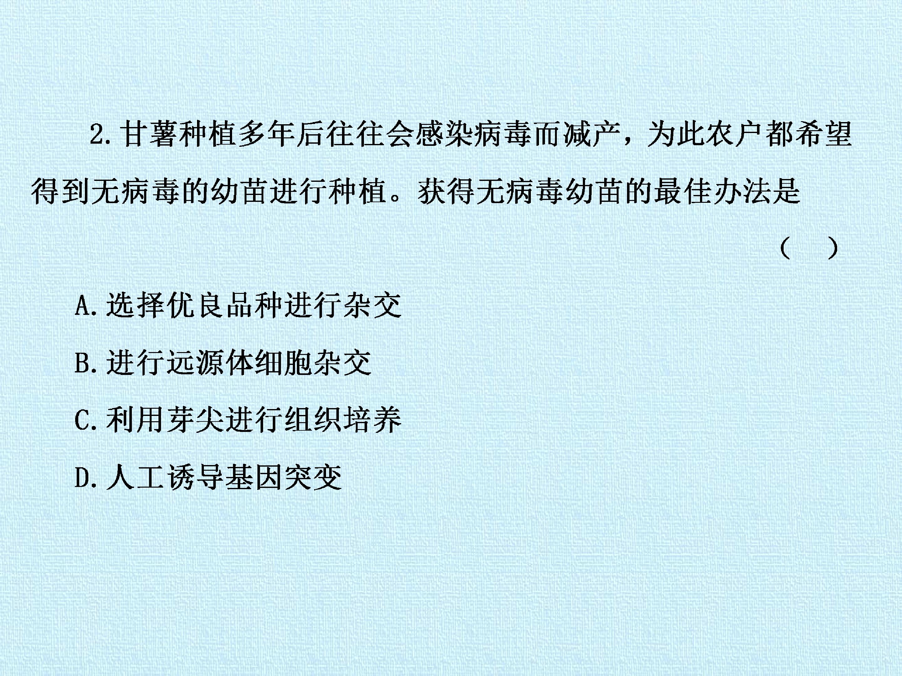 79.jpg