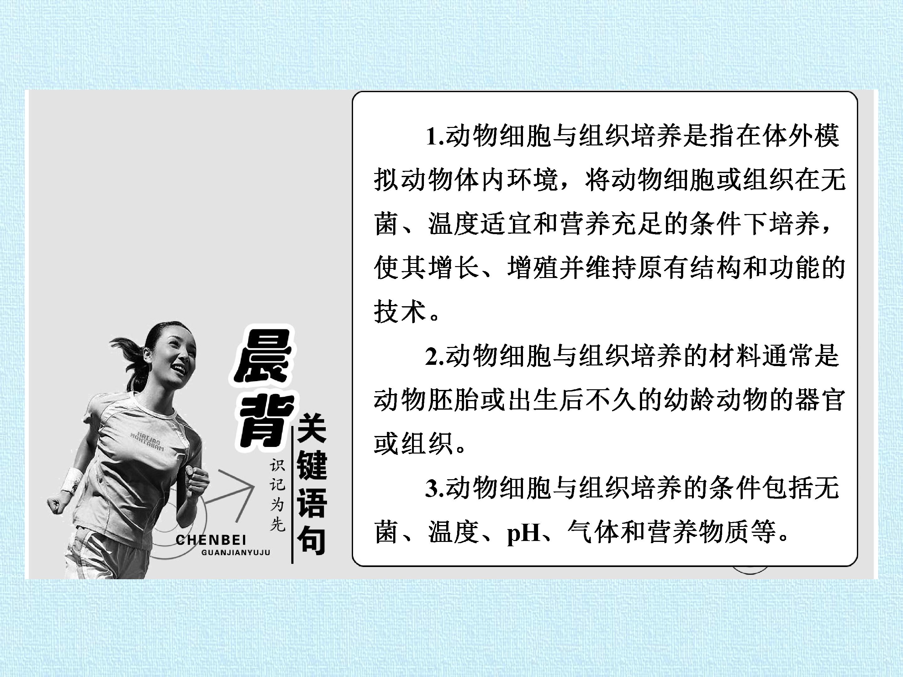86.jpg