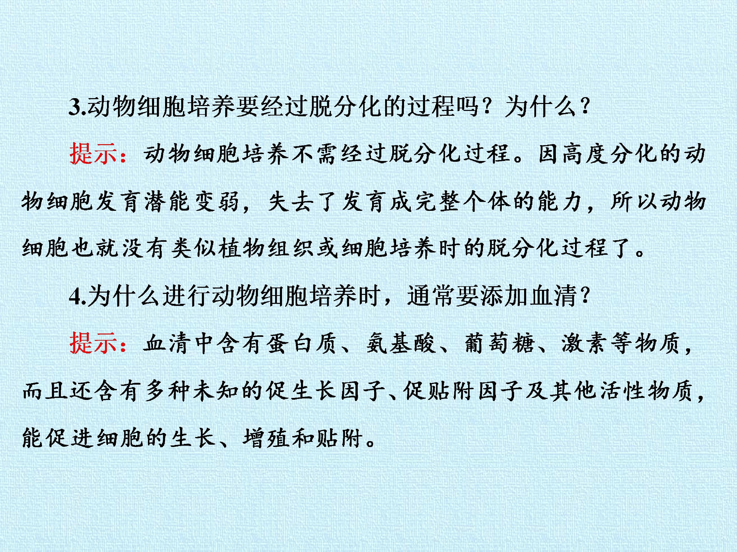 93.jpg