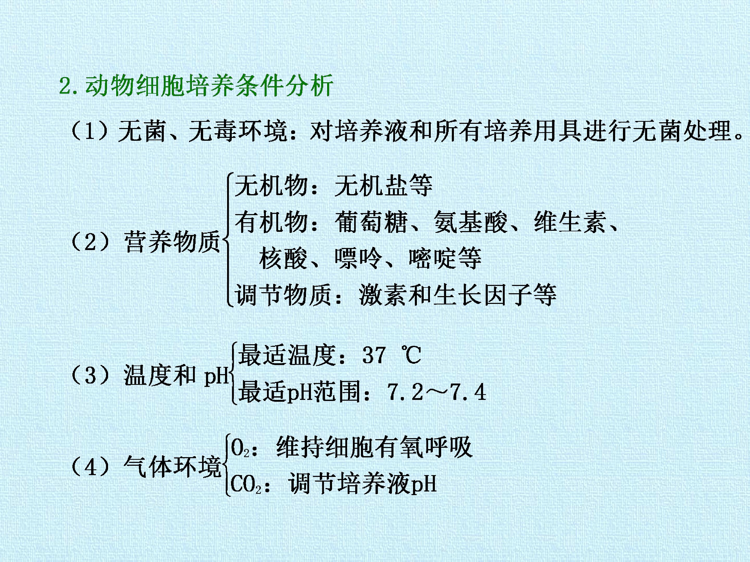 95.jpg
