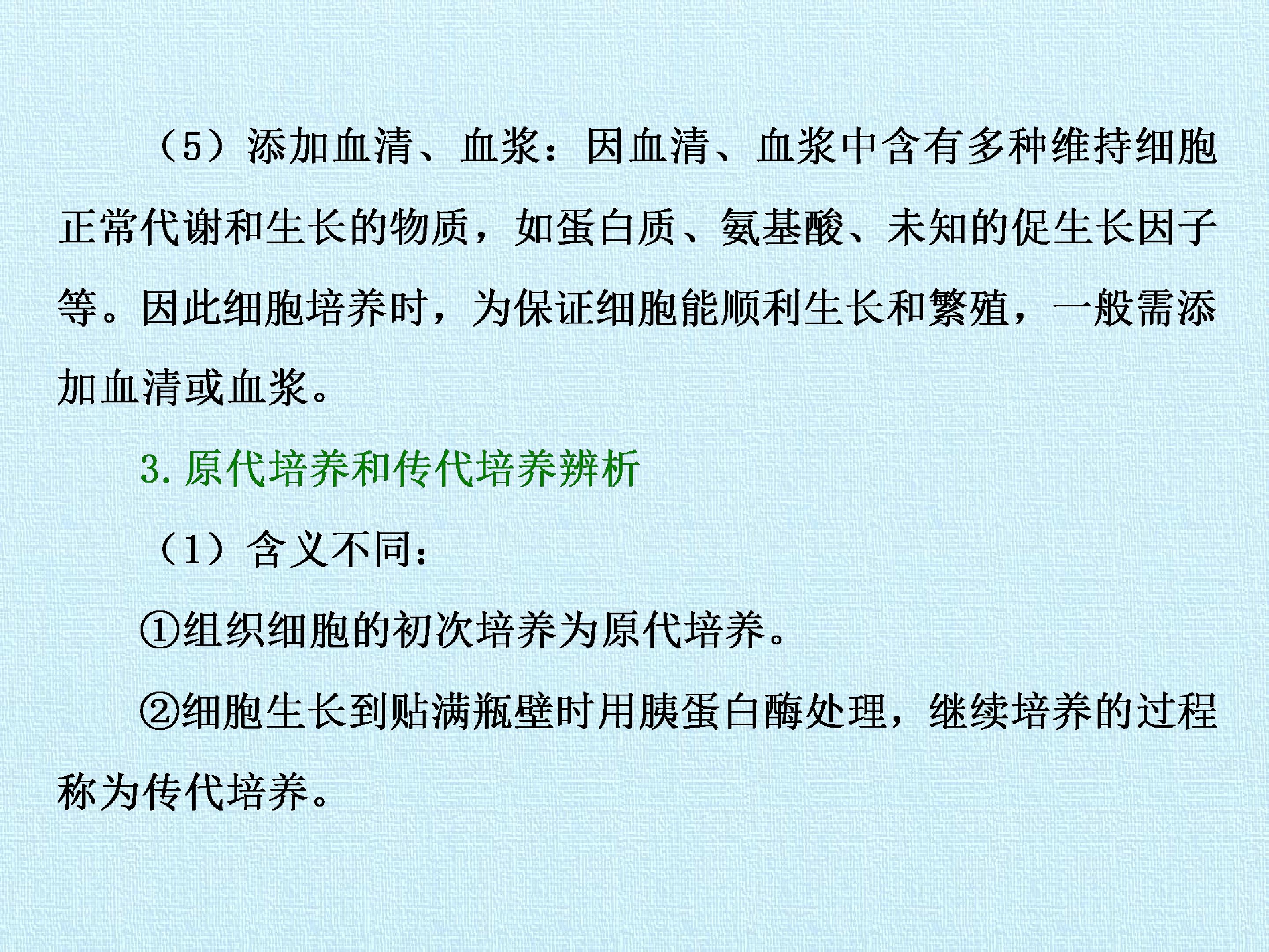 96.jpg