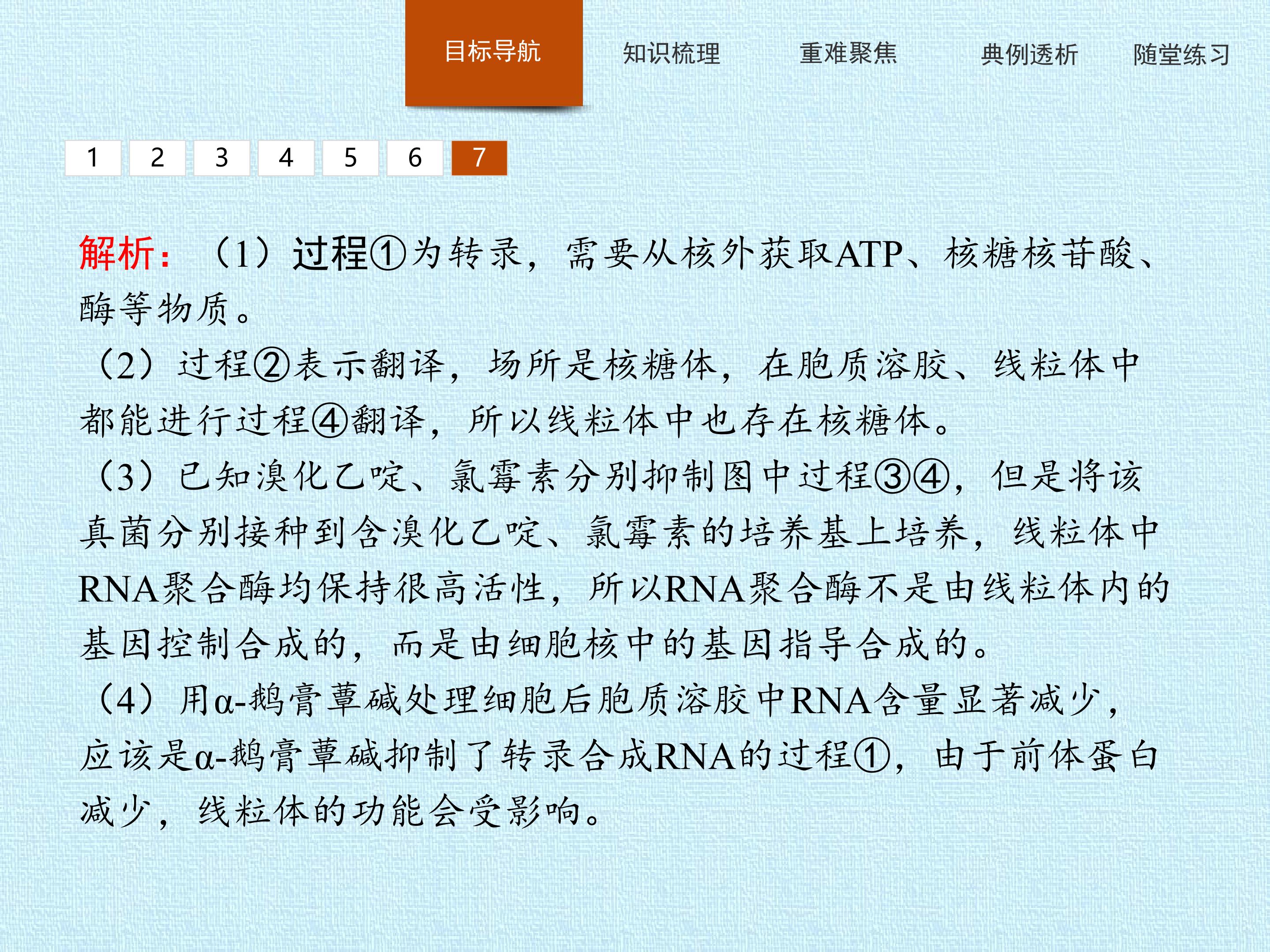 57.jpg