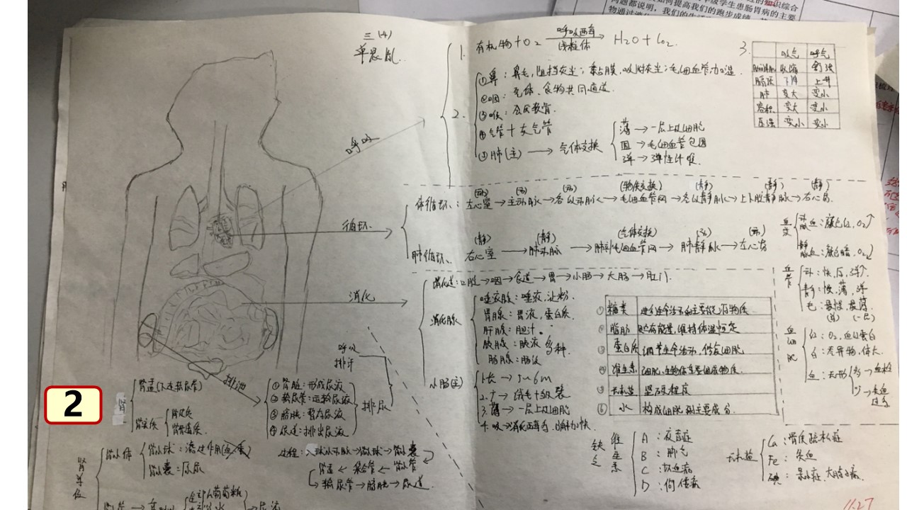 18.jpg