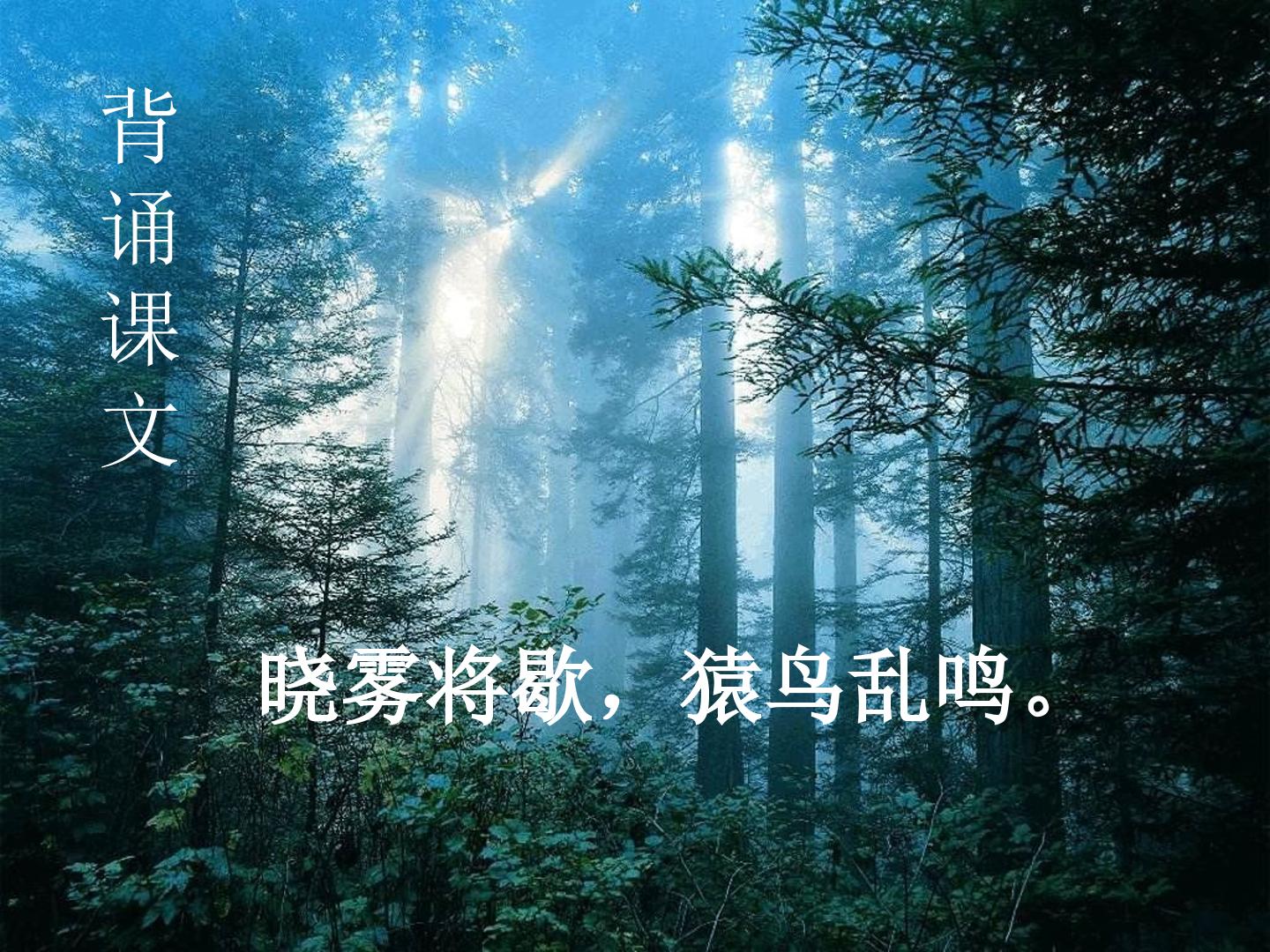 49.jpg