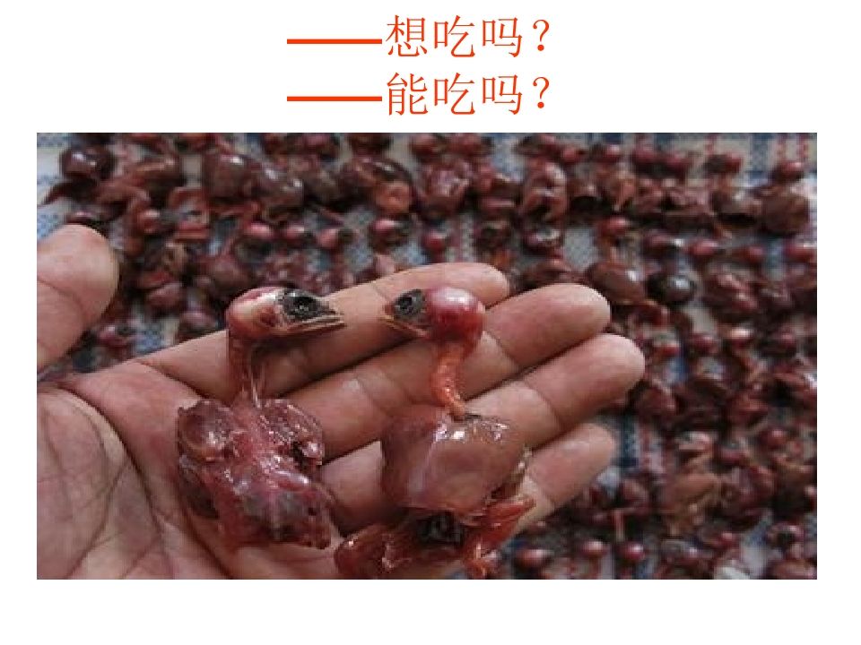 53.jpg