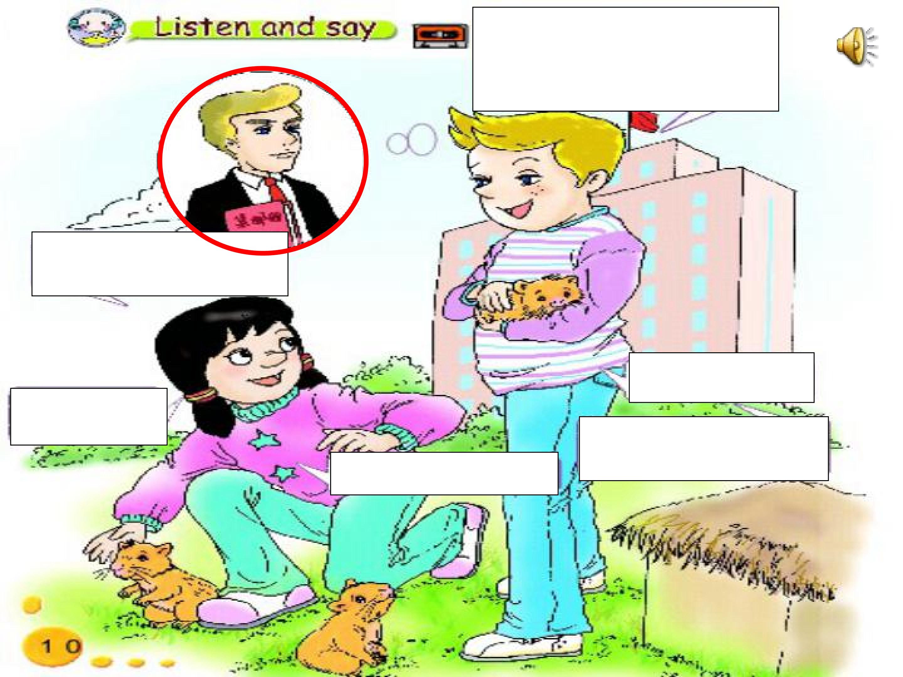 4.jpg