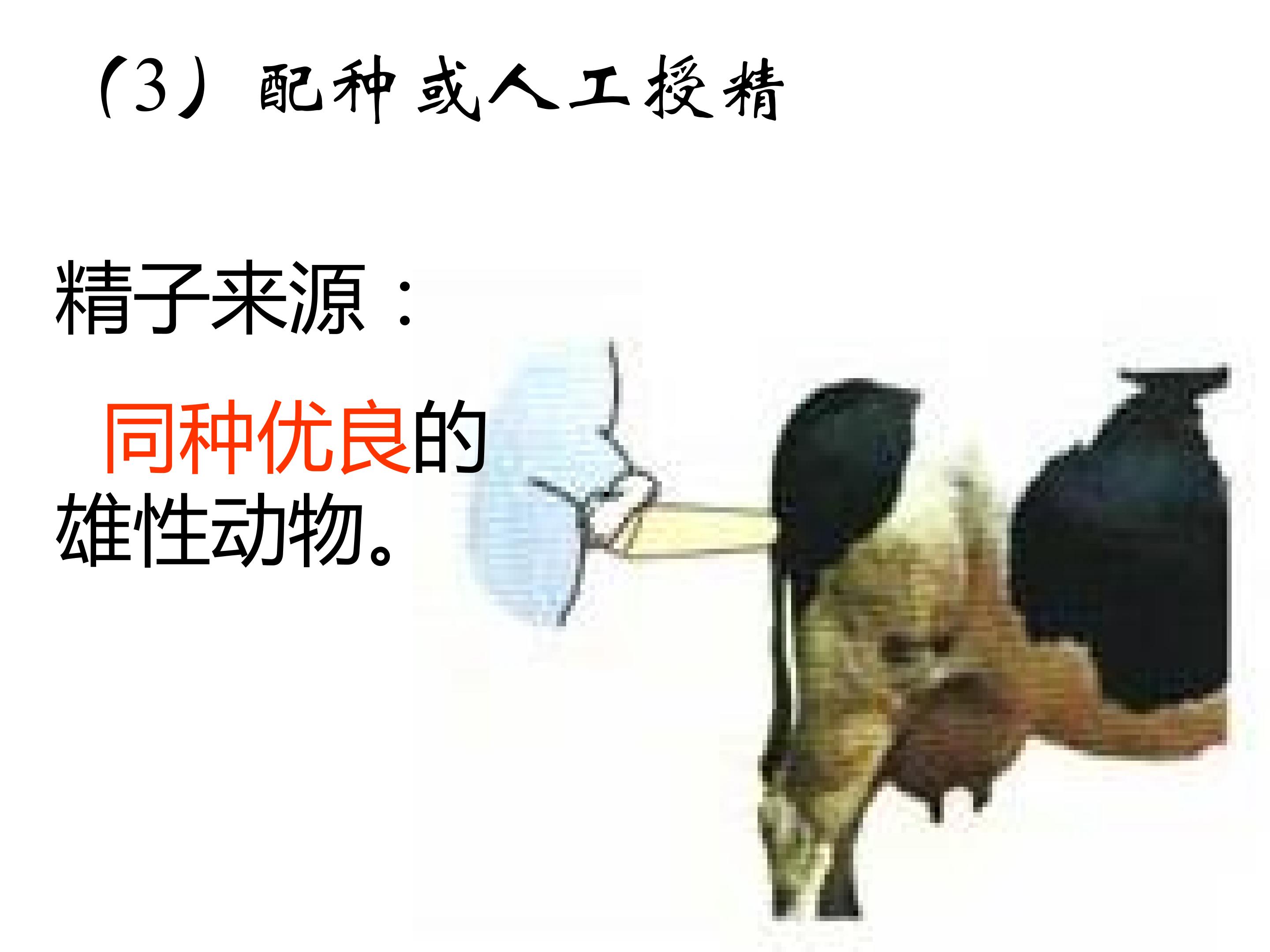 60.jpg