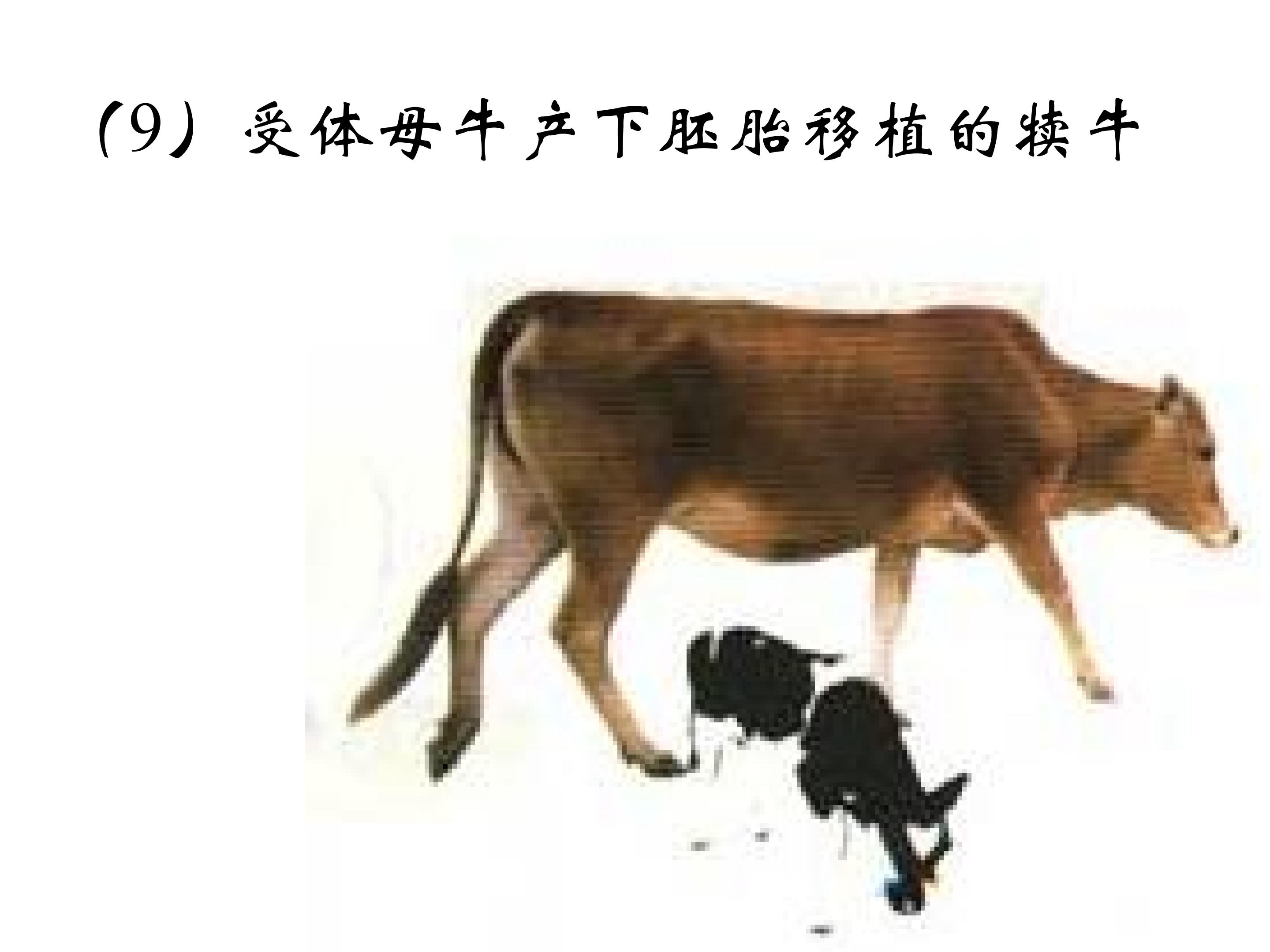 66.jpg