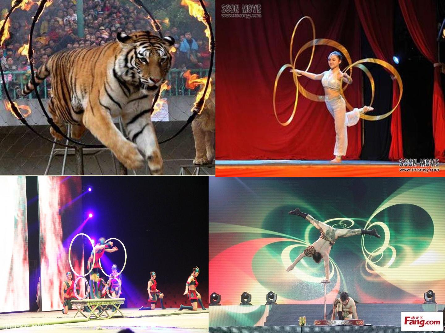 31.jpg