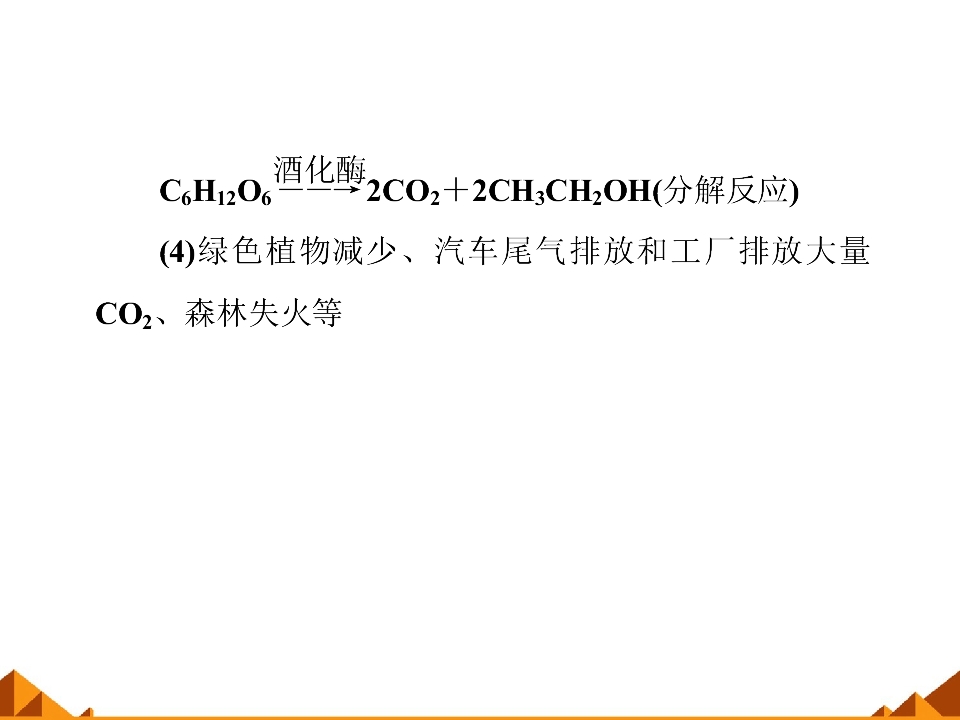65.jpg