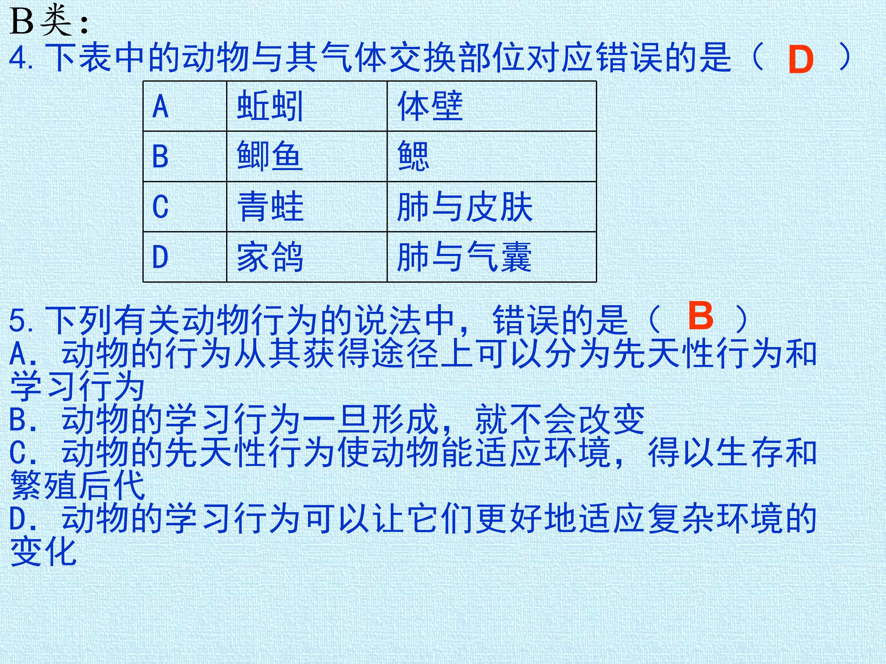 38.jpg