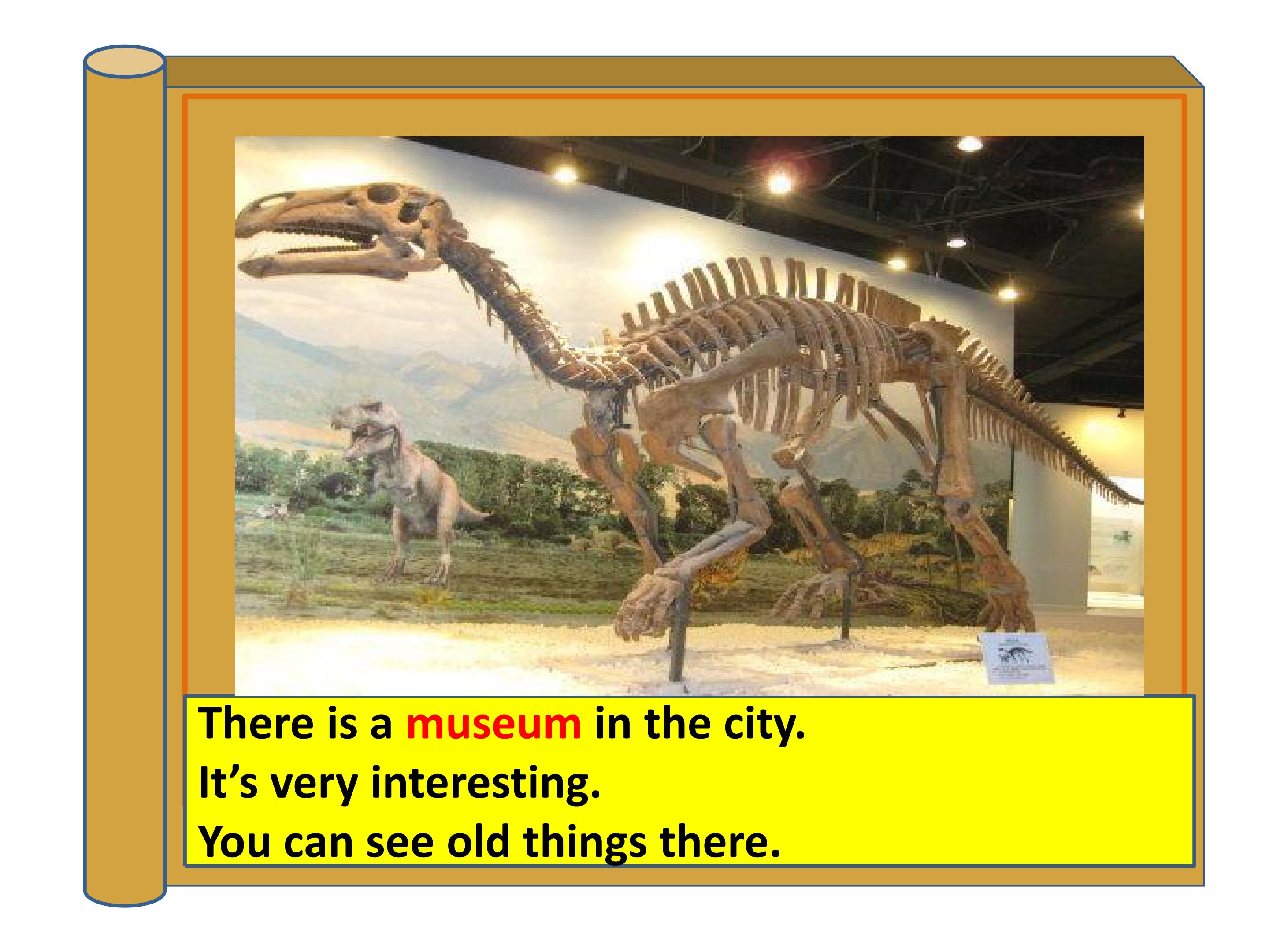 45.jpg