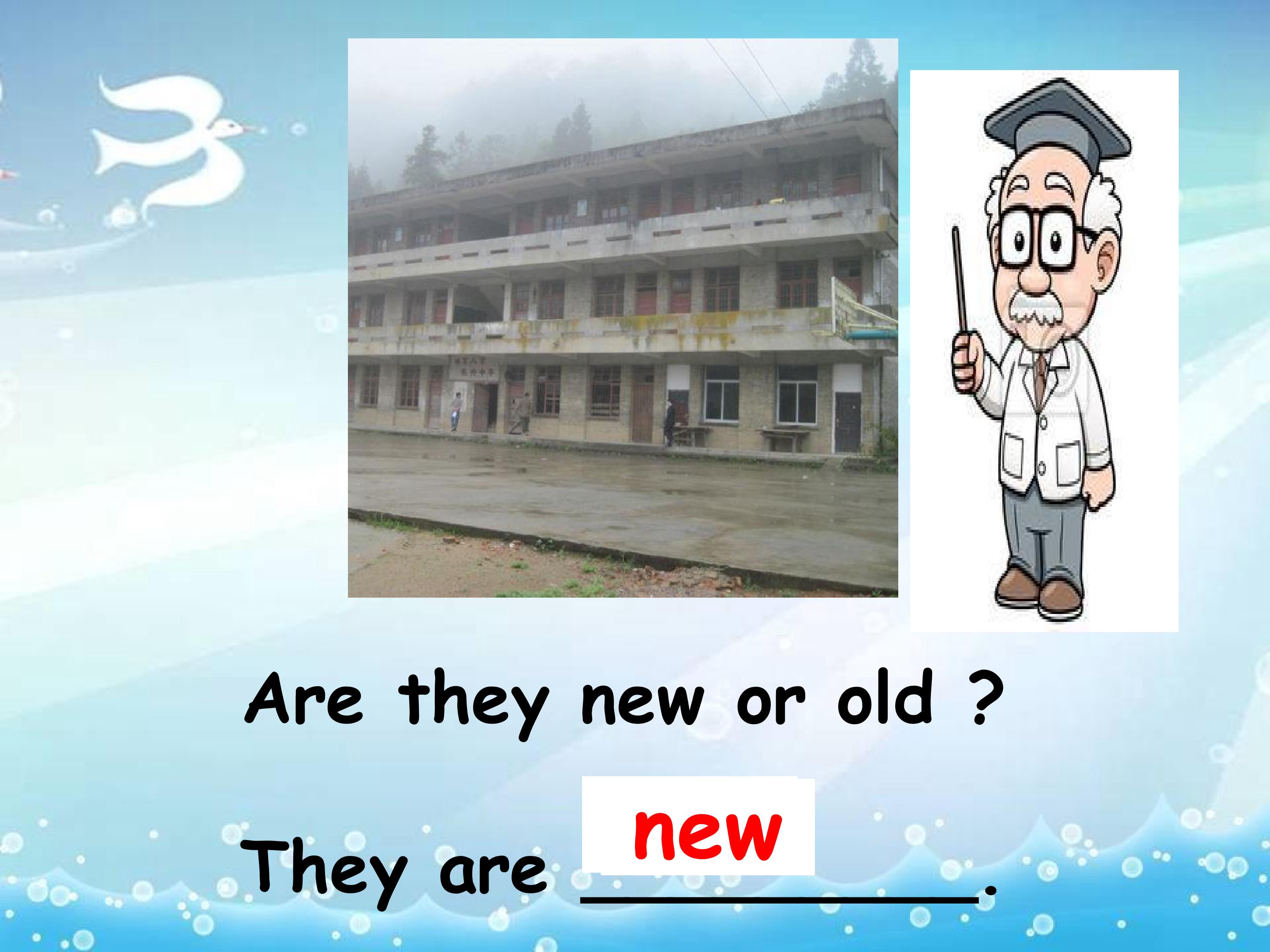 18.jpg