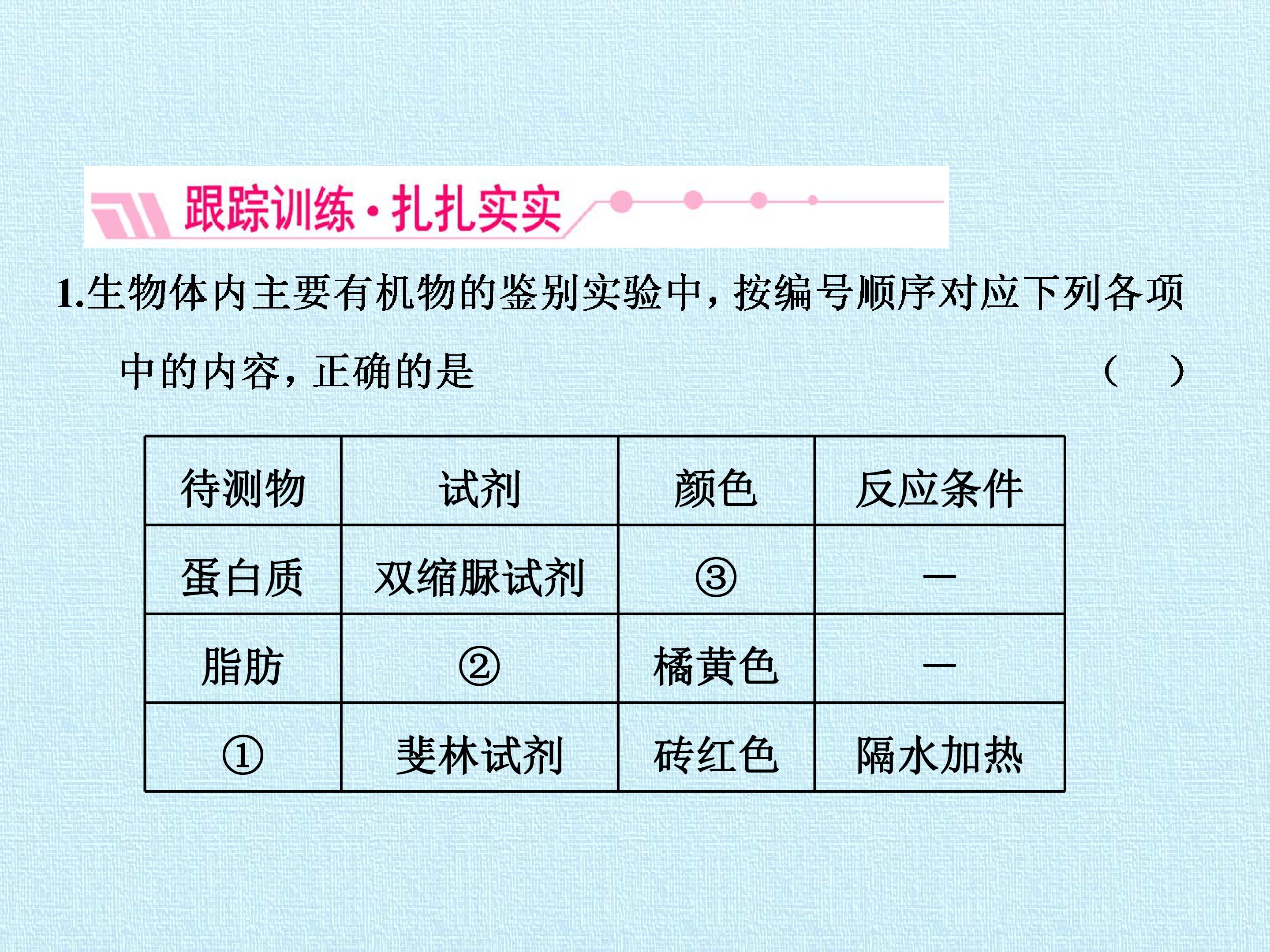 97.jpg