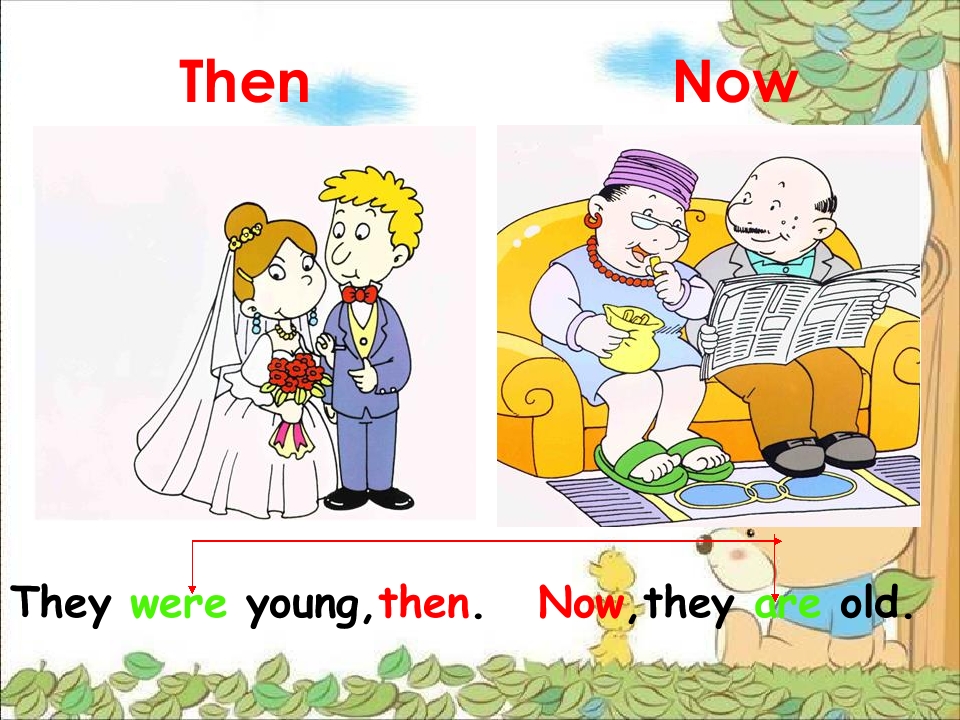 15.jpg