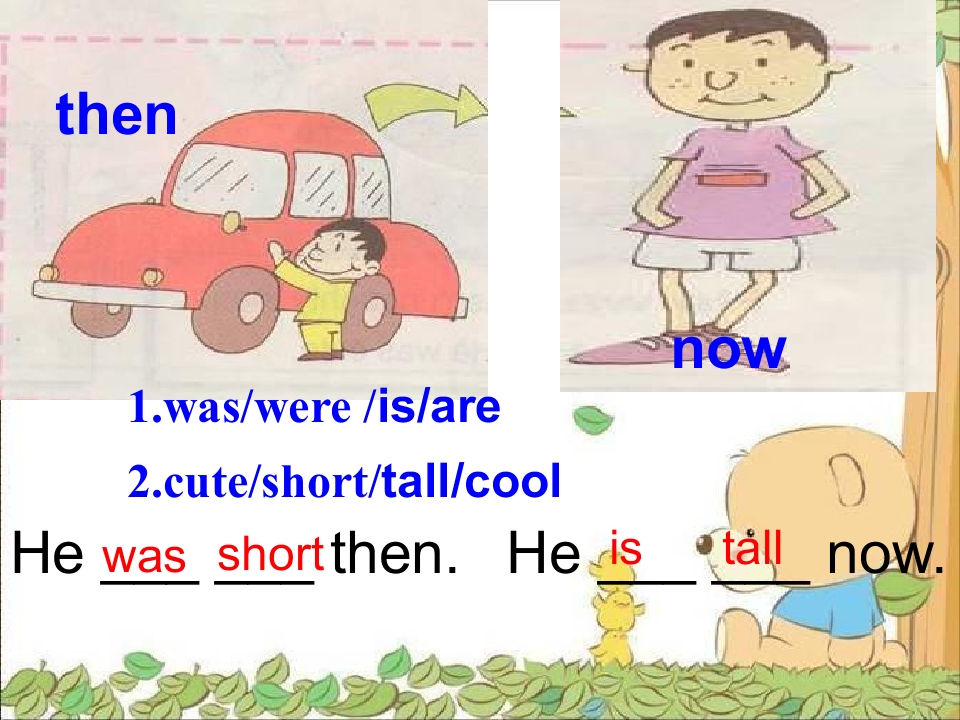 19.jpg