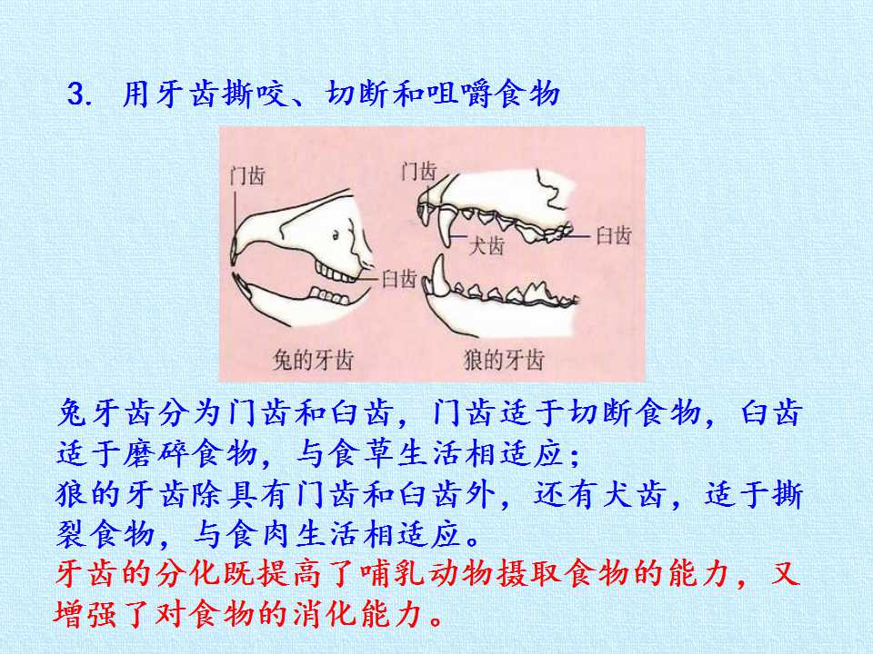 103.jpg