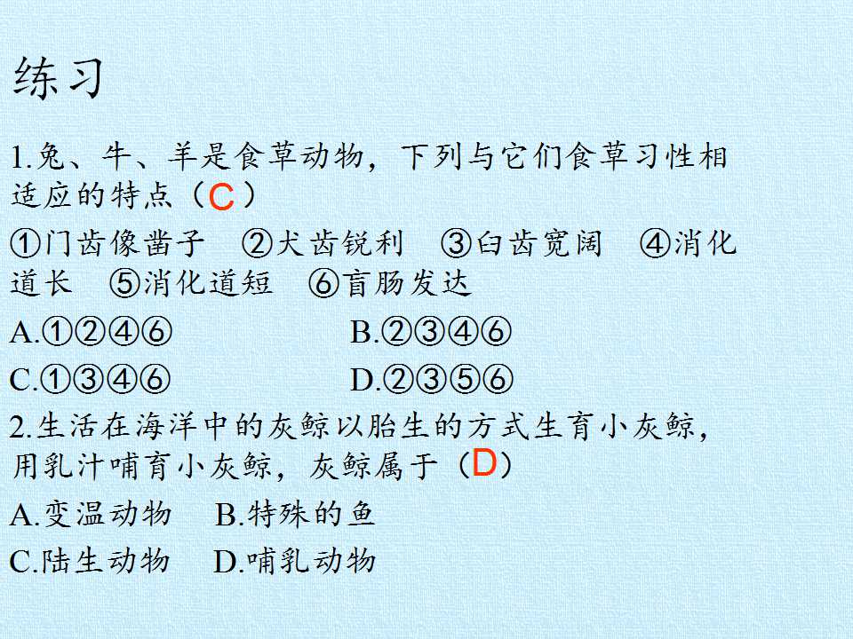 112.jpg