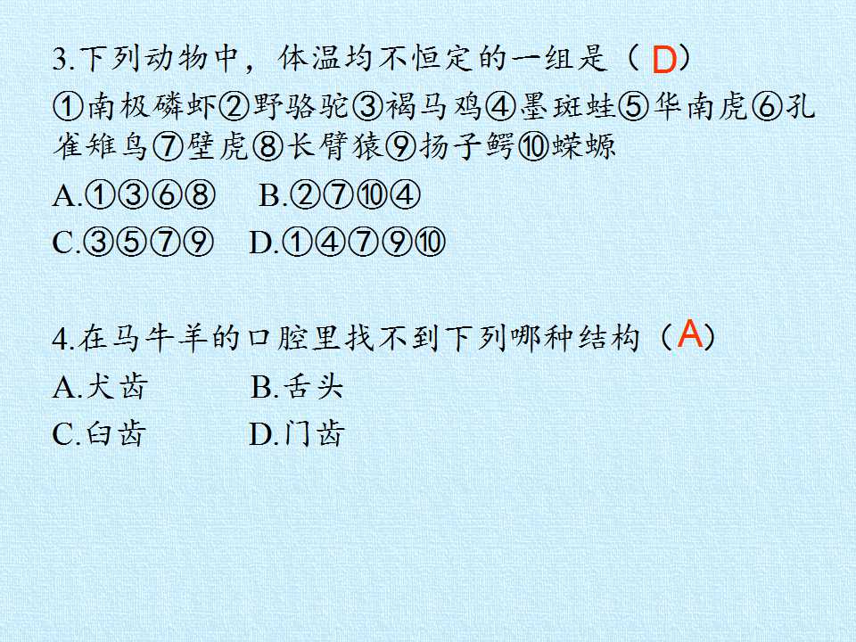 113.jpg