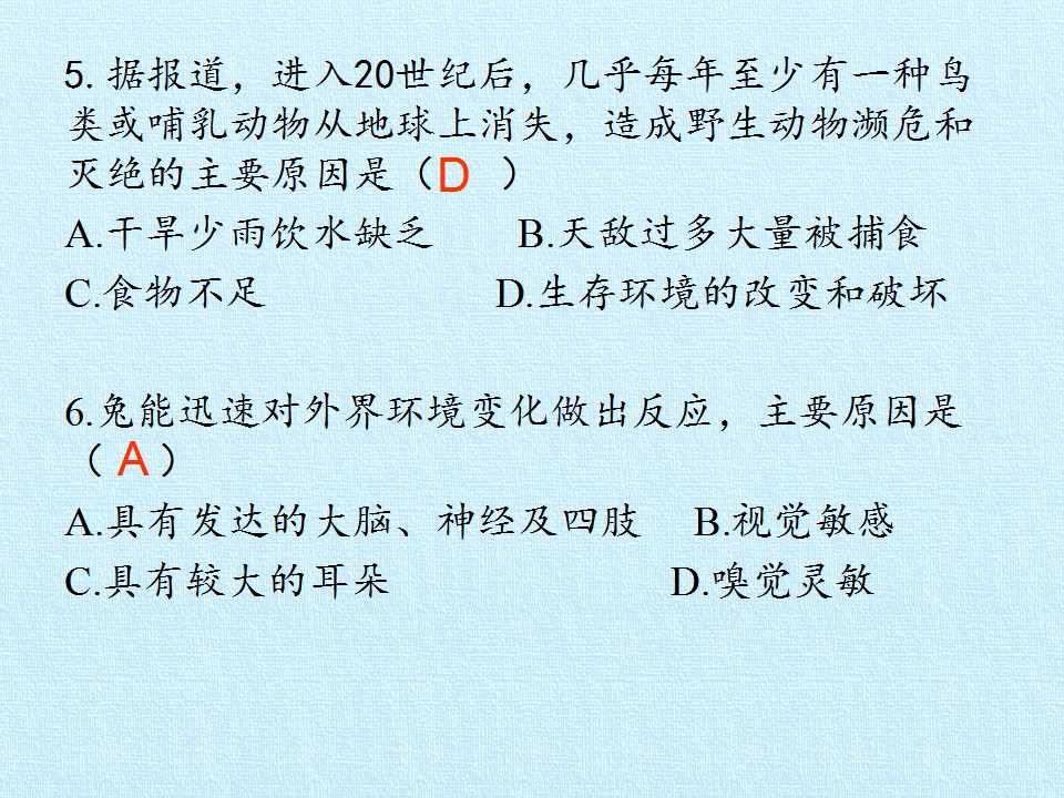 114.jpg
