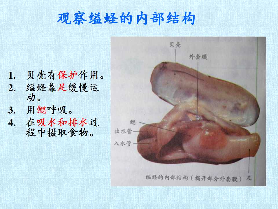 41.jpg