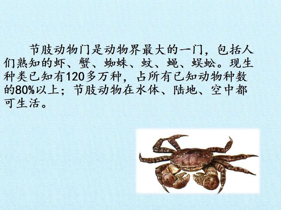 47.jpg