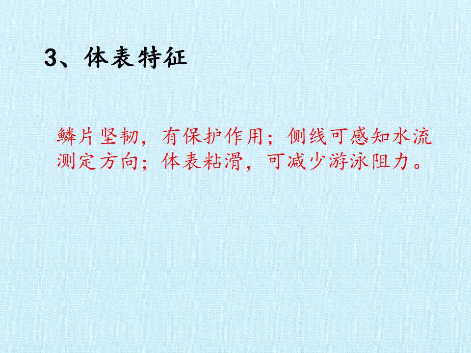 62.jpg