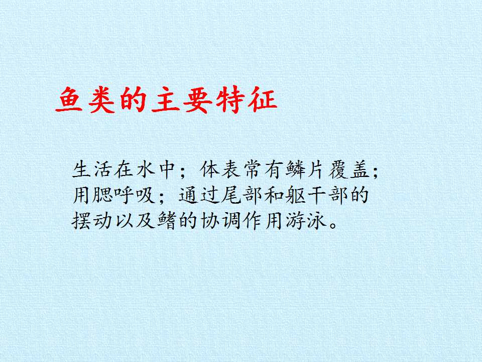 65.jpg